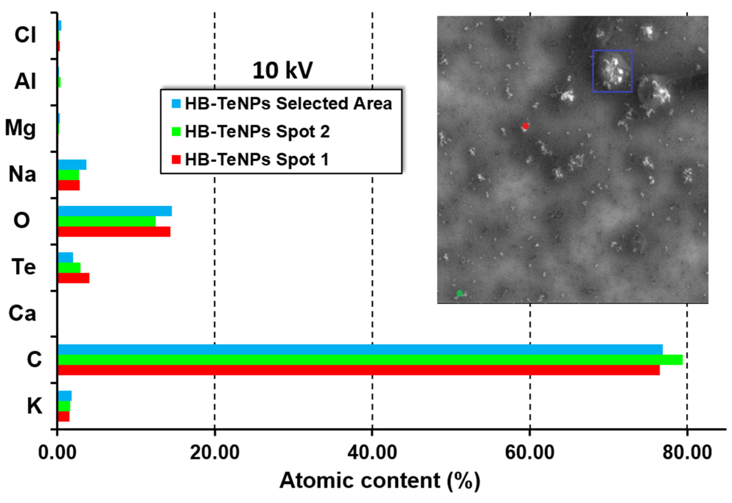 Jfb 14 00024 g0a13 Jfb 14 00024 g0a13