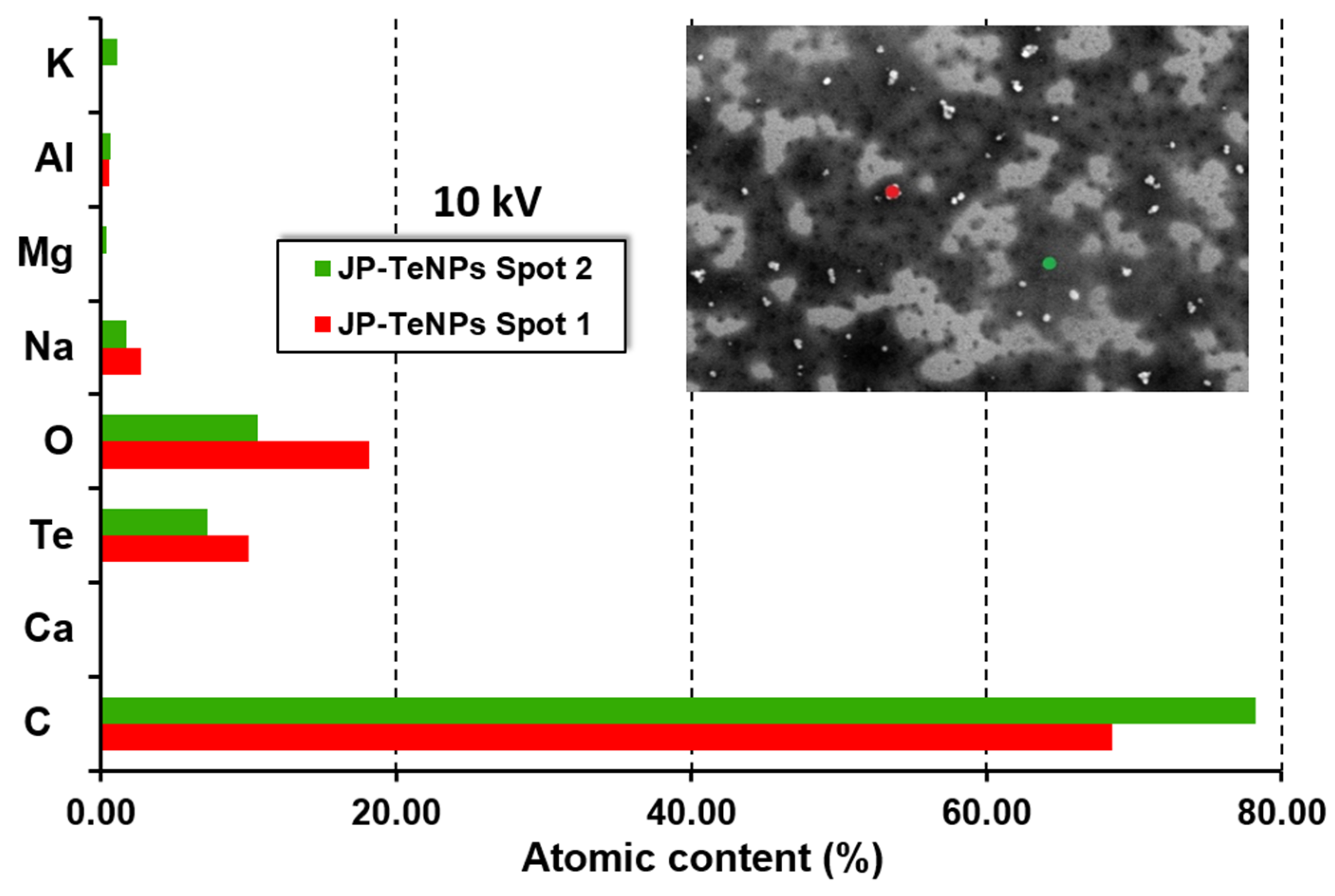 Jfb 14 00024 g0a16 Jfb 14 00024 g0a16