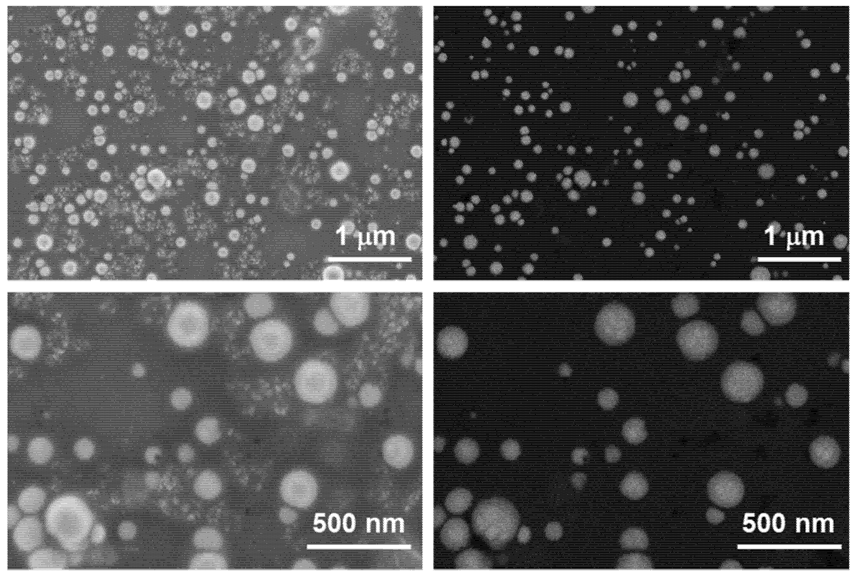 Jfb 14 00024 g0a2 Jfb 14 00024 g0a2