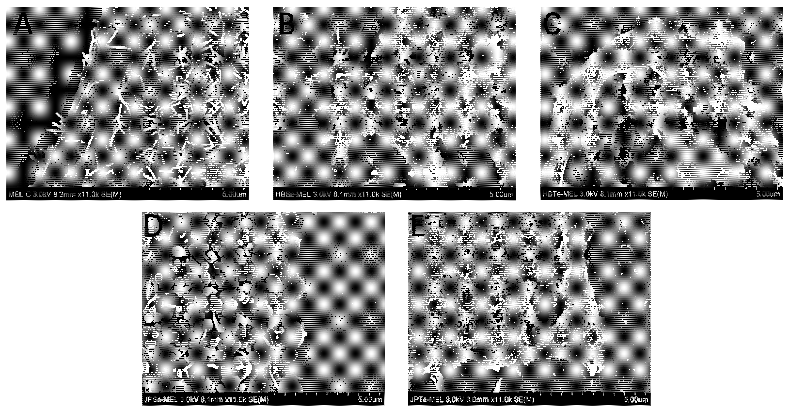 Jfb 14 00024 g0a22 Jfb 14 00024 g0a22