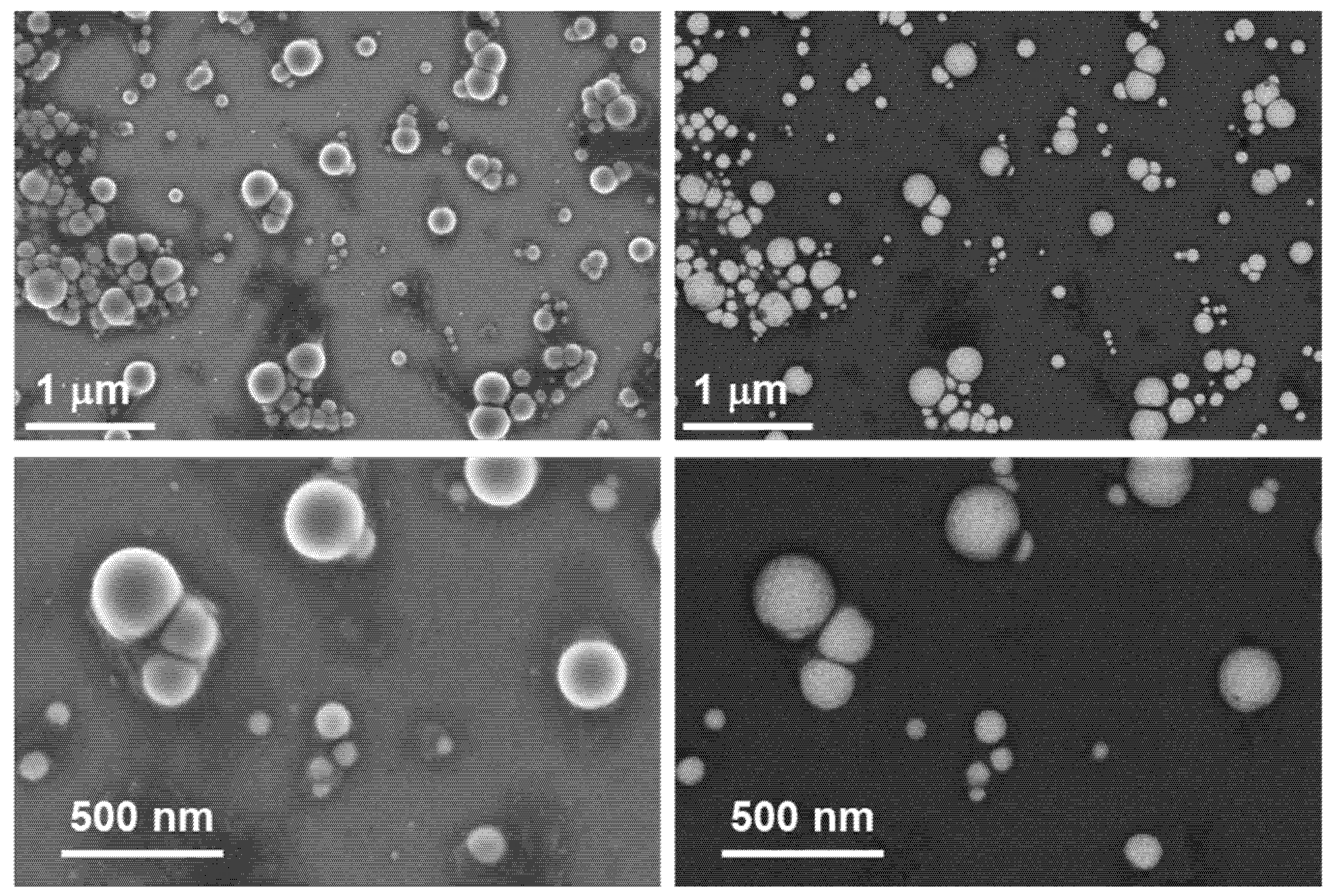 Jfb 14 00024 g0a3 Jfb 14 00024 g0a3