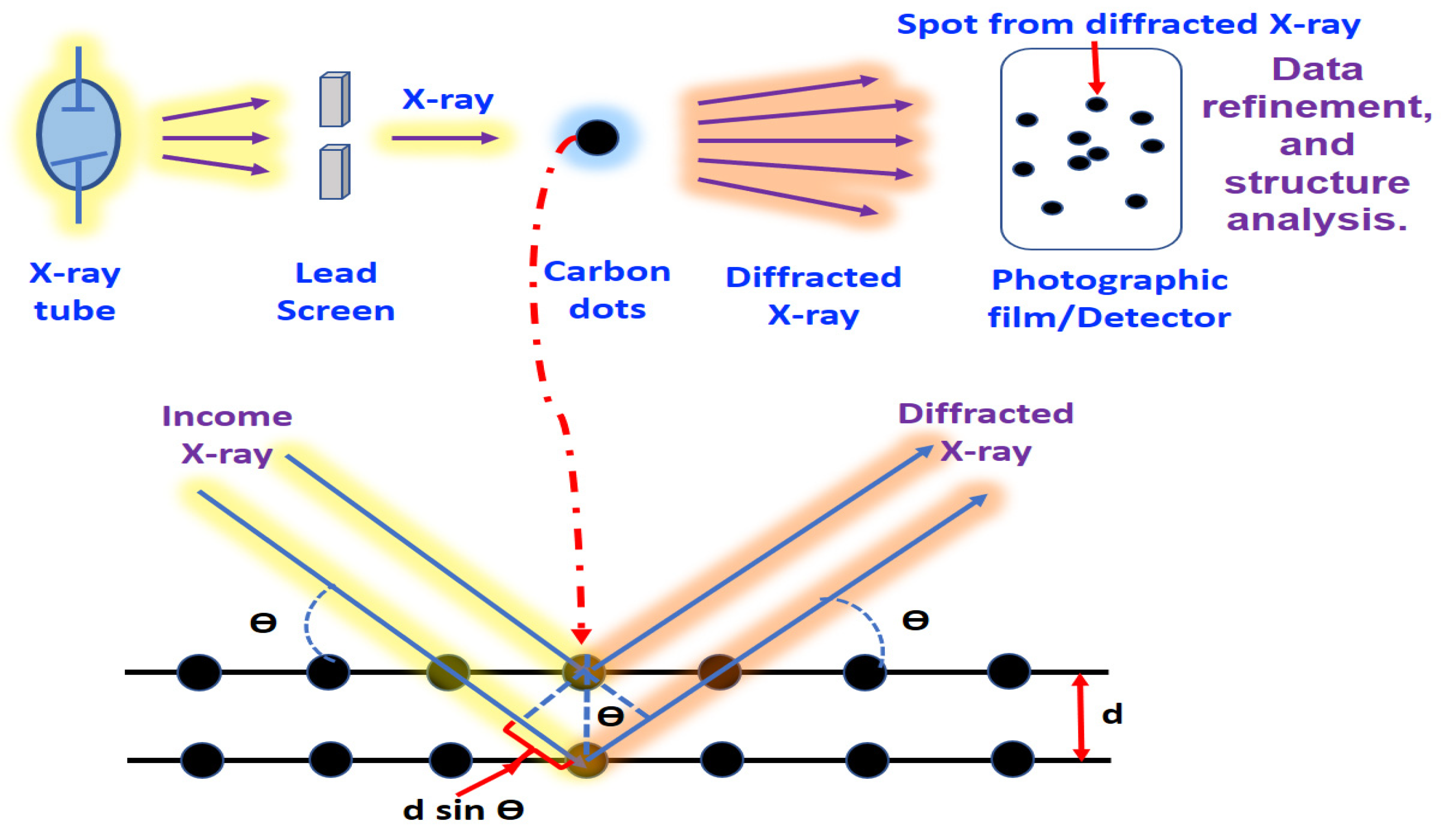Jfb 14 00027 g005 Jfb 14 00027 g005