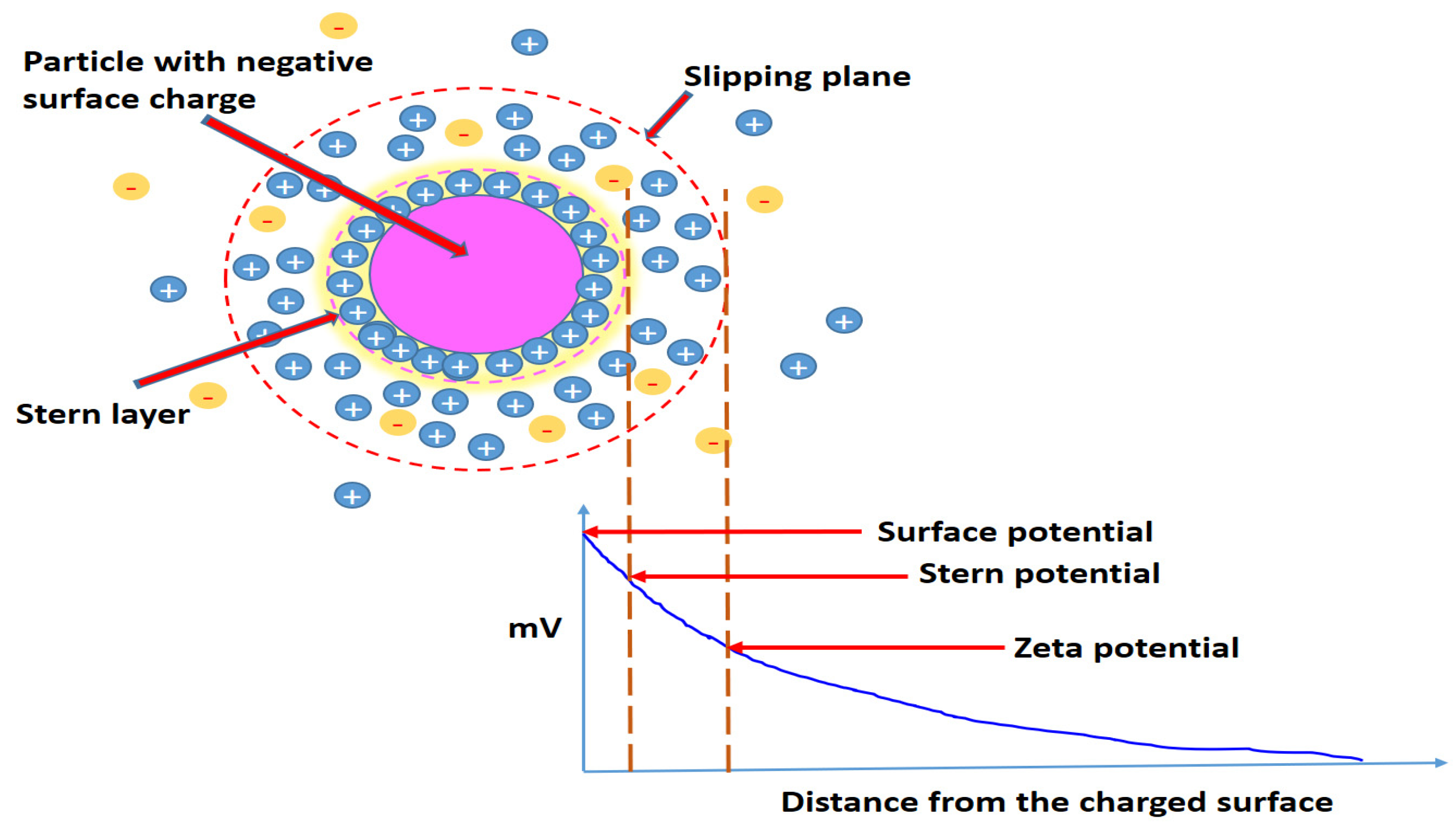 Jfb 14 00027 g006 Jfb 14 00027 g006