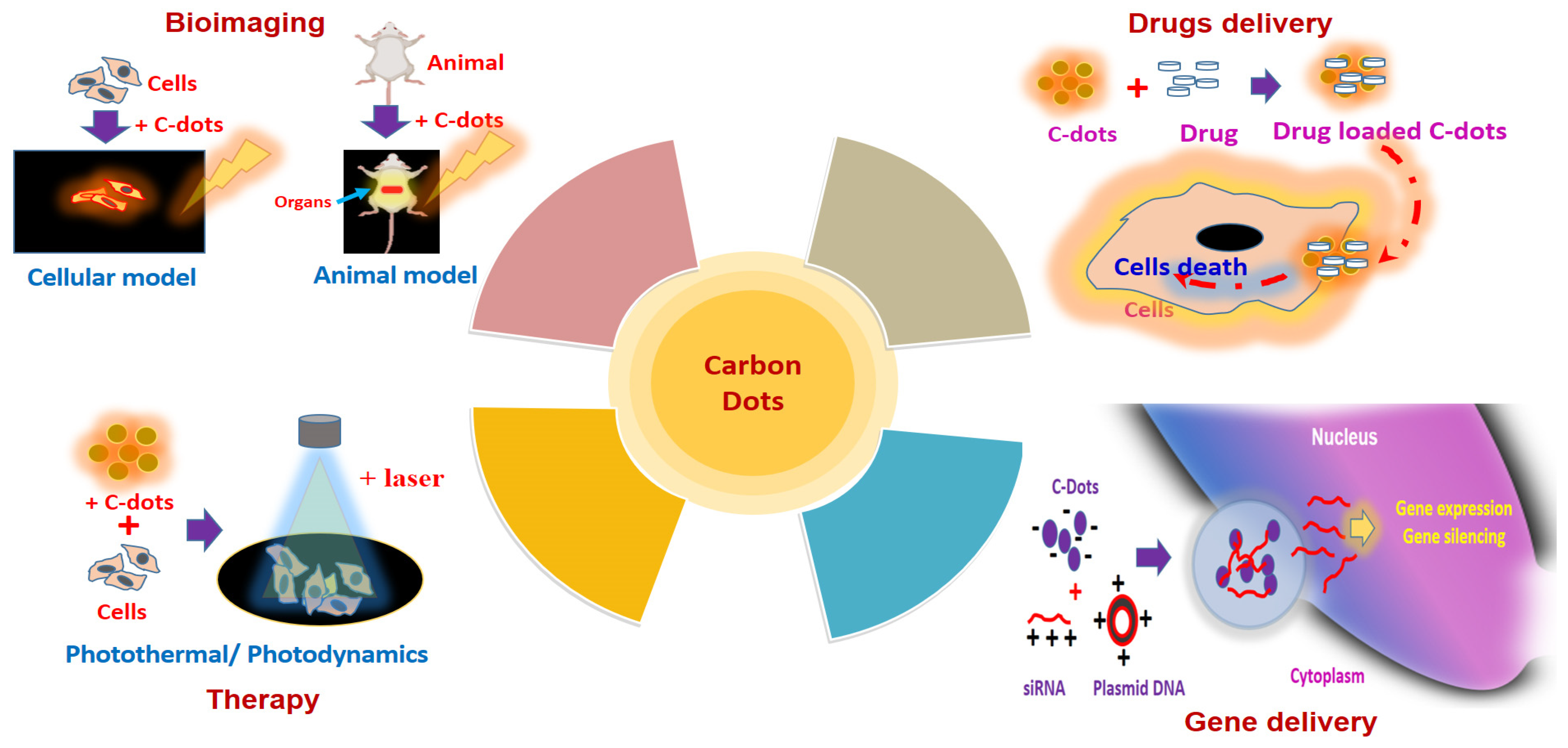 Jfb 14 00027 g008 Jfb 14 00027 g008