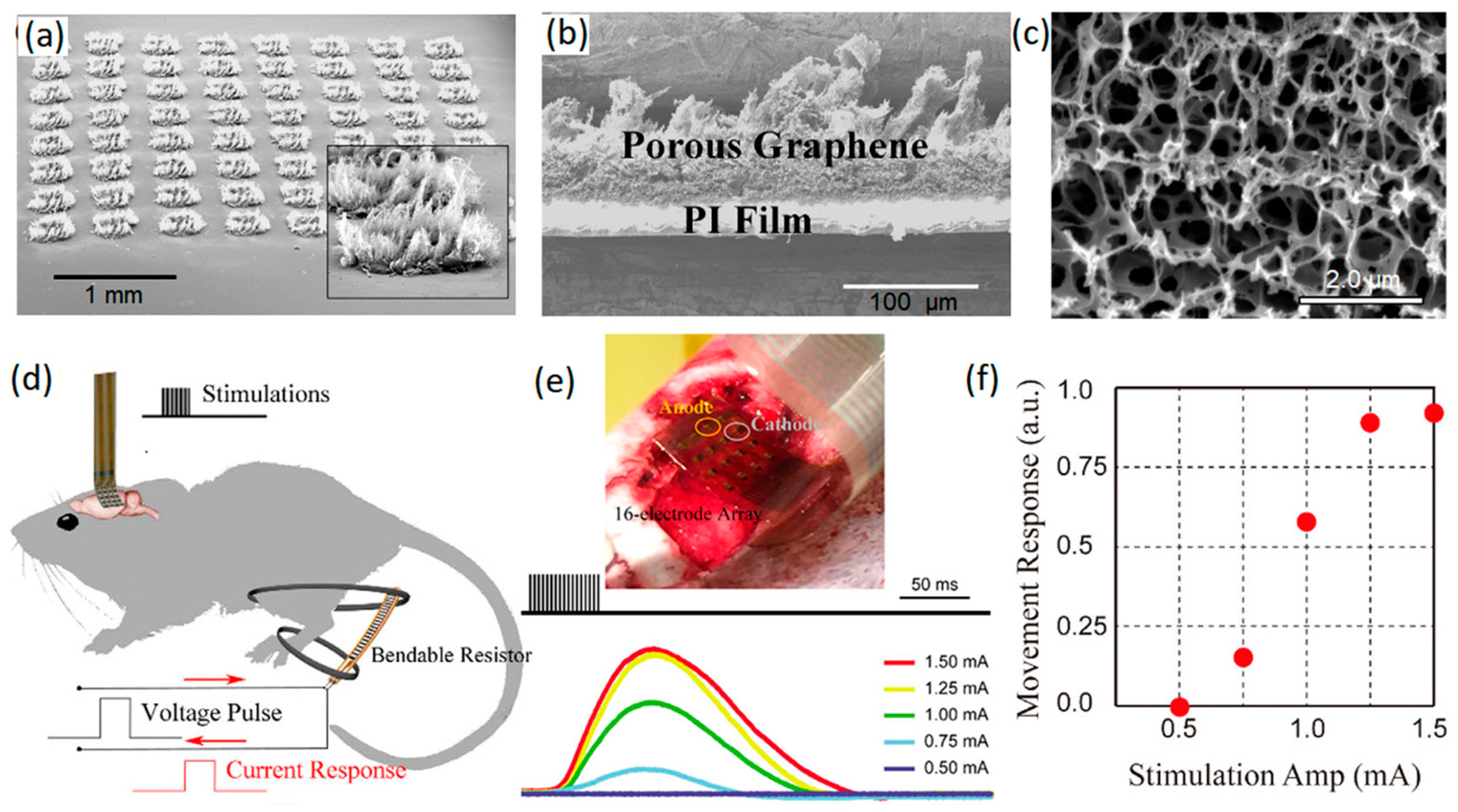 Jfb 14 00035 g003 Jfb 14 00035 g003