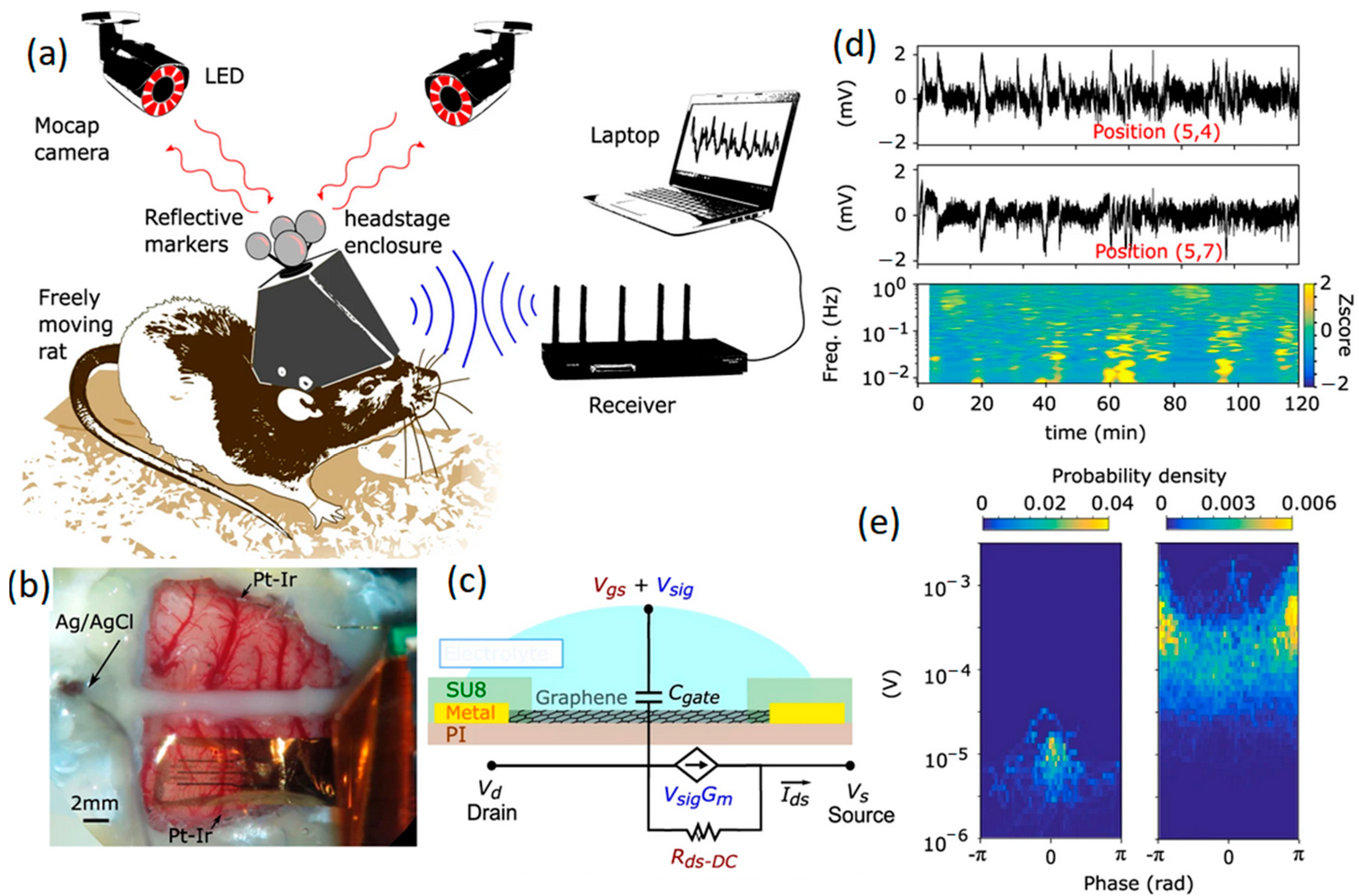 Jfb 14 00035 g004 Jfb 14 00035 g004