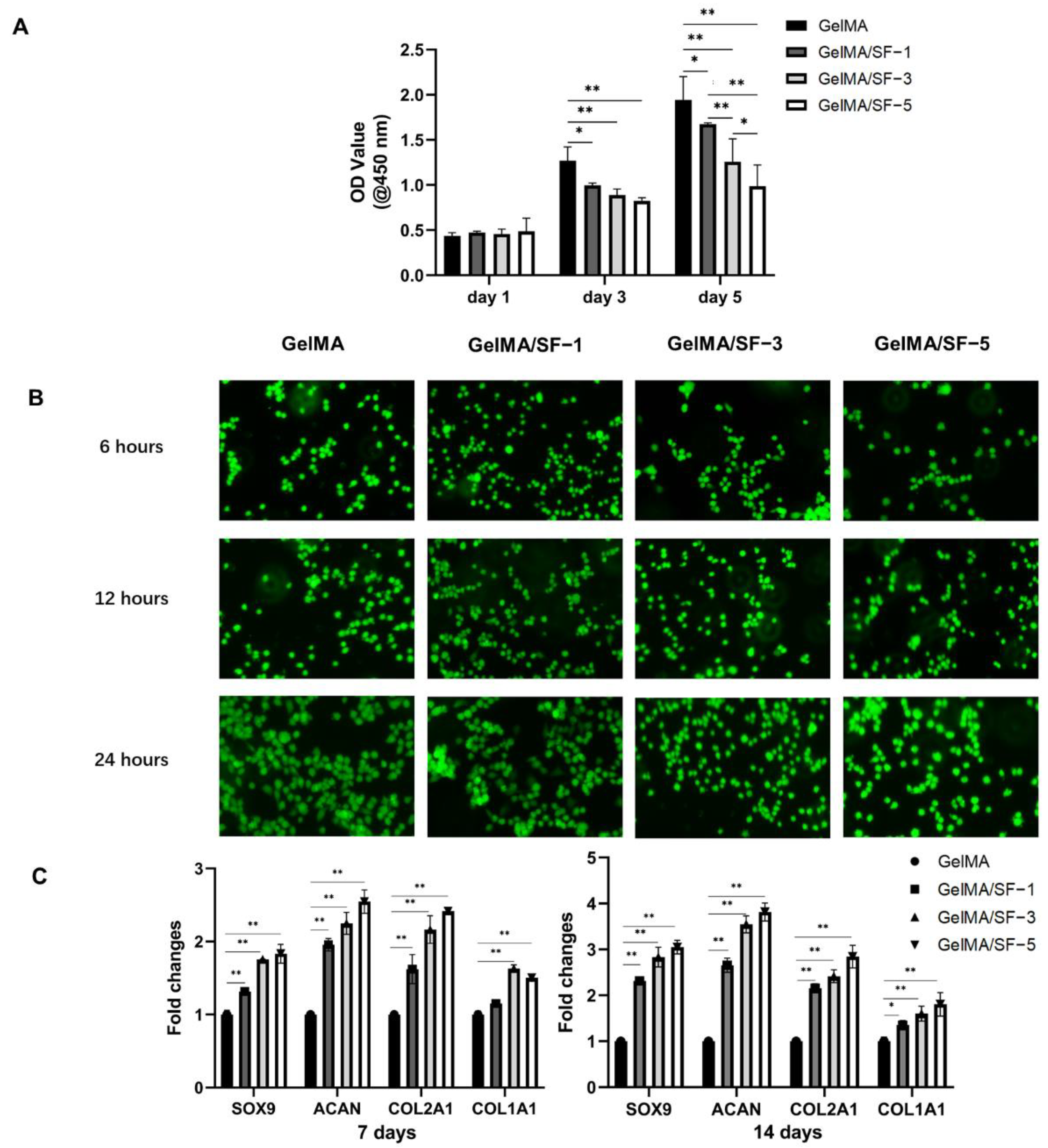 Jfb 14 00039 g004 Jfb 14 00039 g004