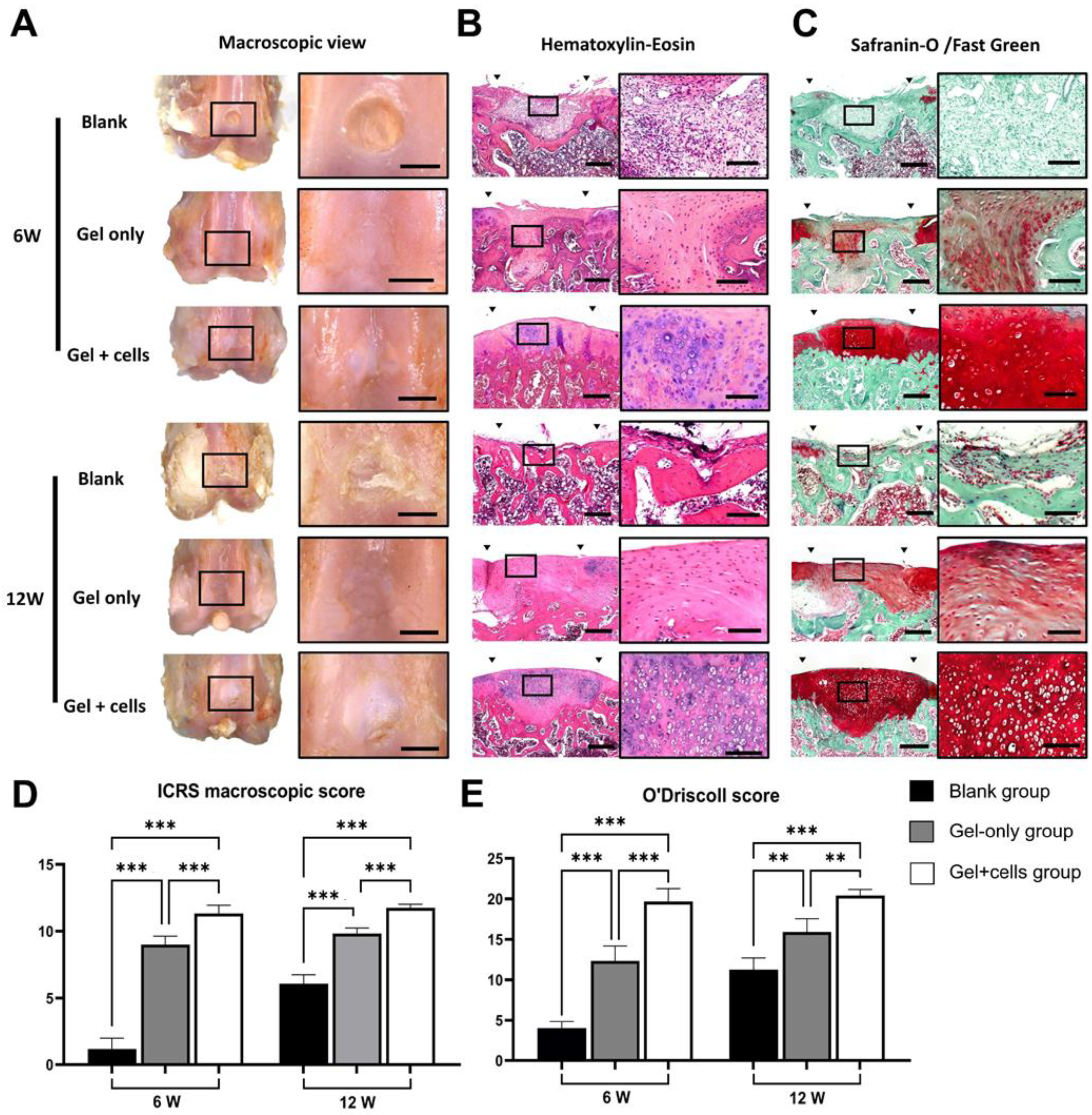Jfb 14 00039 g005 Jfb 14 00039 g005
