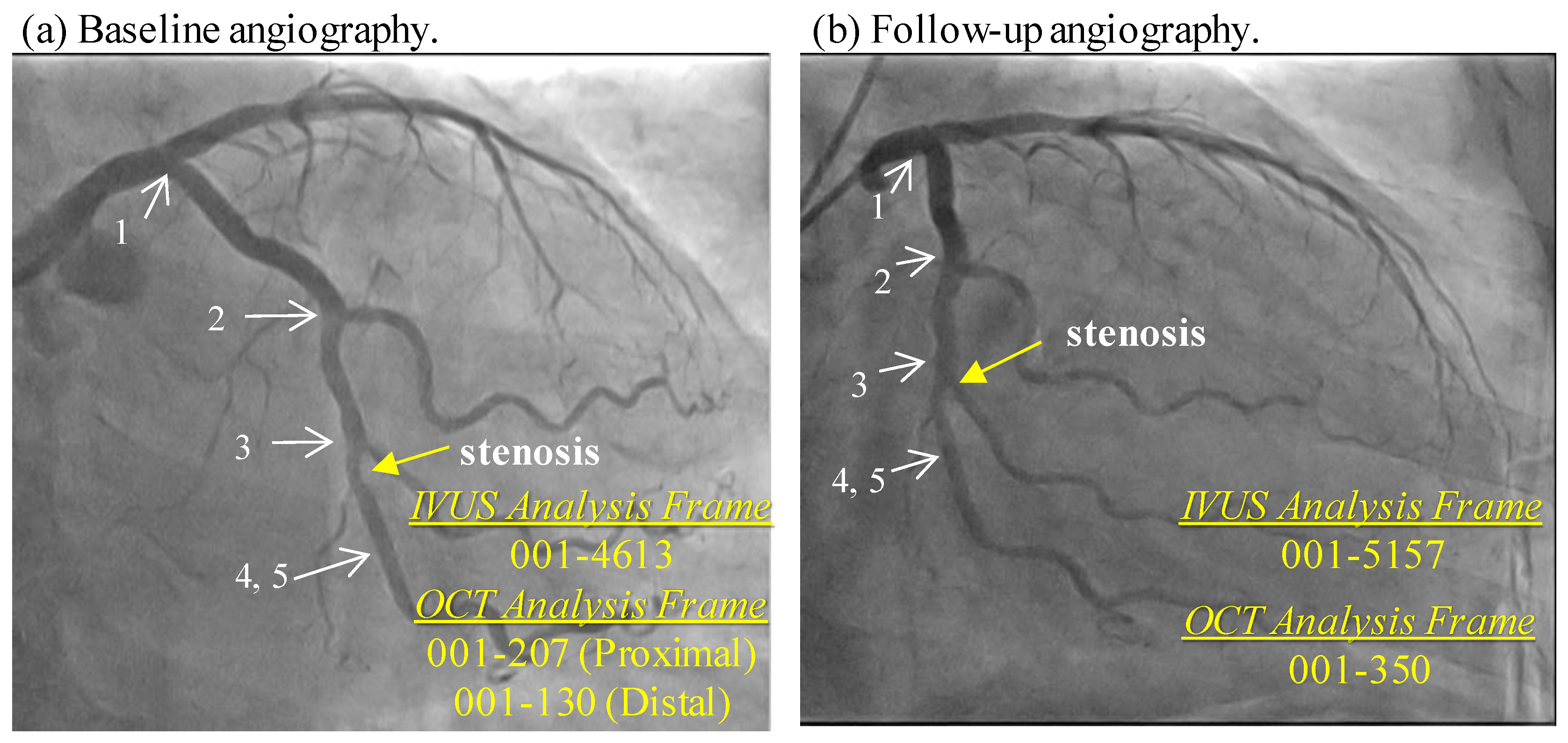 Jfb 14 00041 g001 Jfb 14 00041 g001