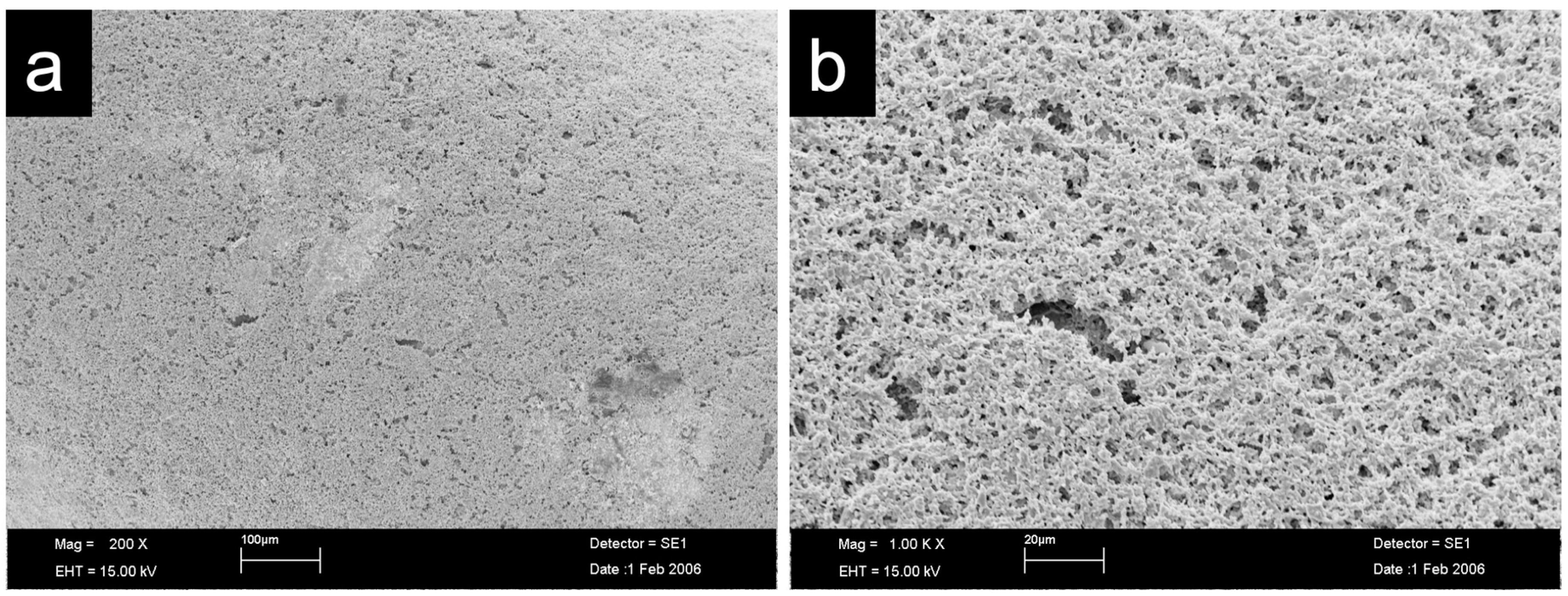 Jfb 14 00045 g002 Jfb 14 00045 g002