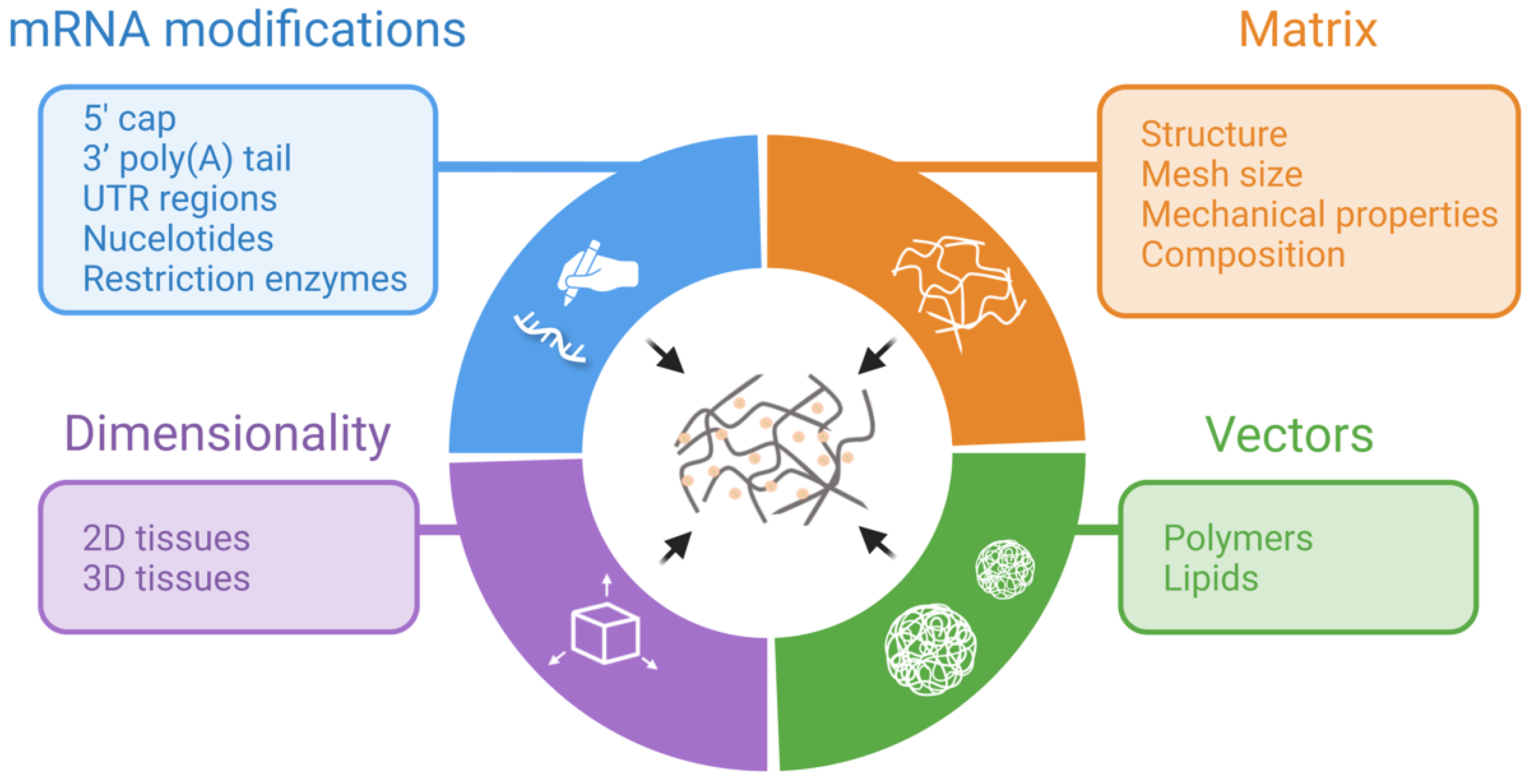 Jfb 14 00048 g002 Jfb 14 00048 g002