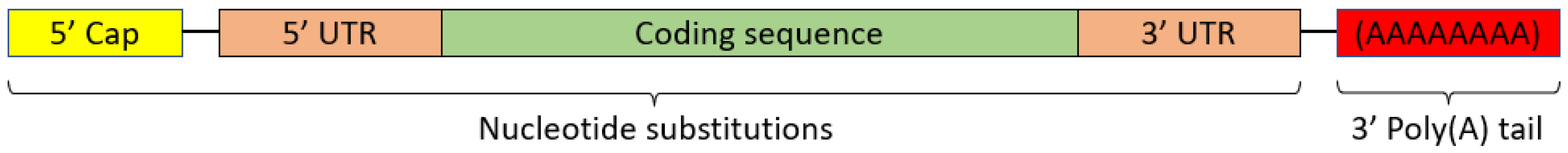 Jfb 14 00048 g003 Jfb 14 00048 g003