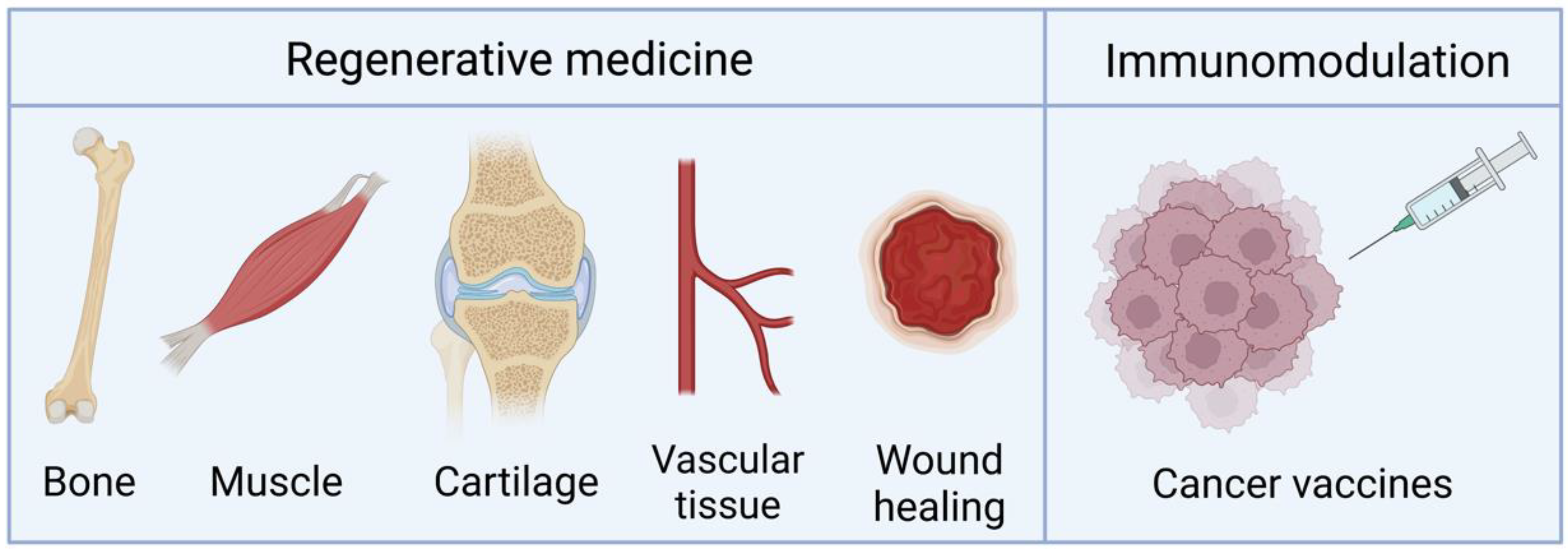 Jfb 14 00048 g004 Jfb 14 00048 g004