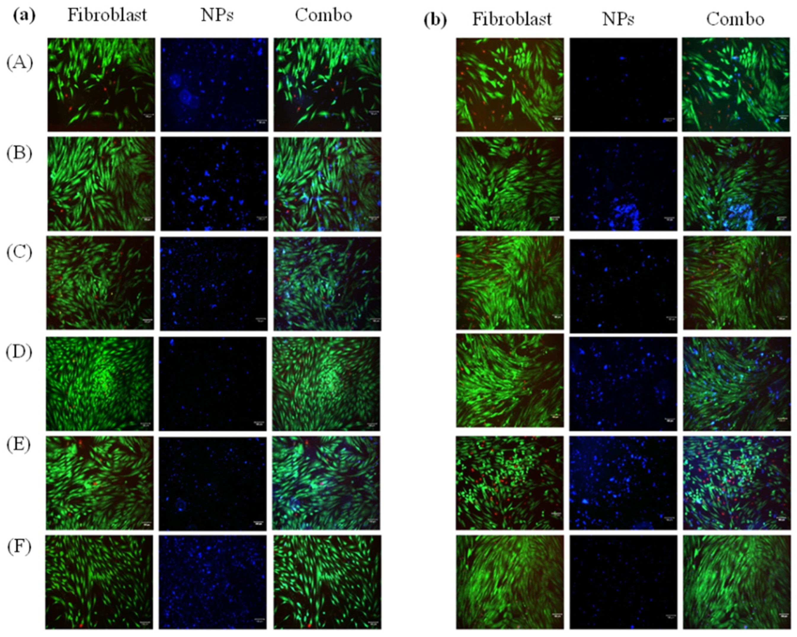 Jfb 14 00052 g005 Jfb 14 00052 g005