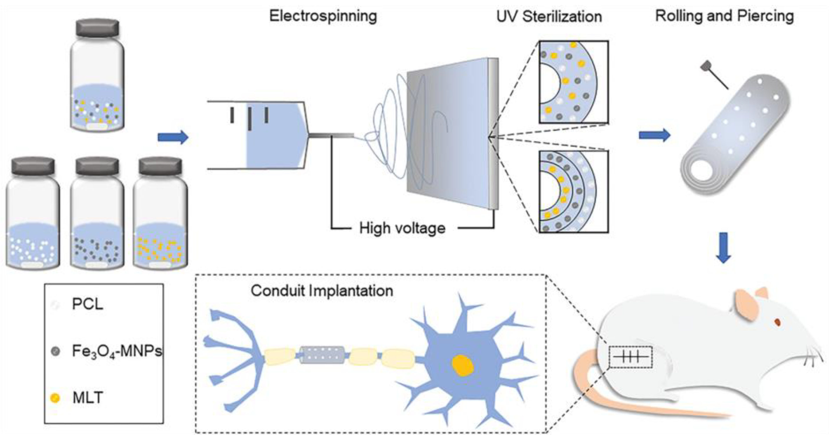 Jfb 14 00058 g004 Jfb 14 00058 g004