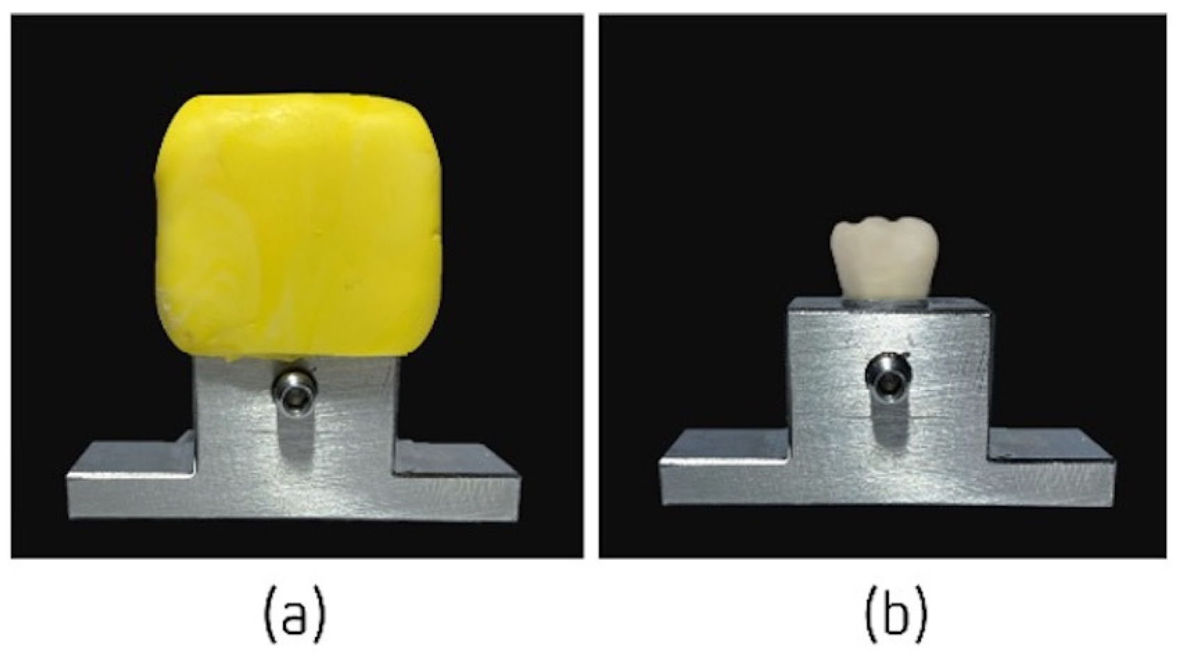 Jfb 14 00062 g002 Jfb 14 00062 g002