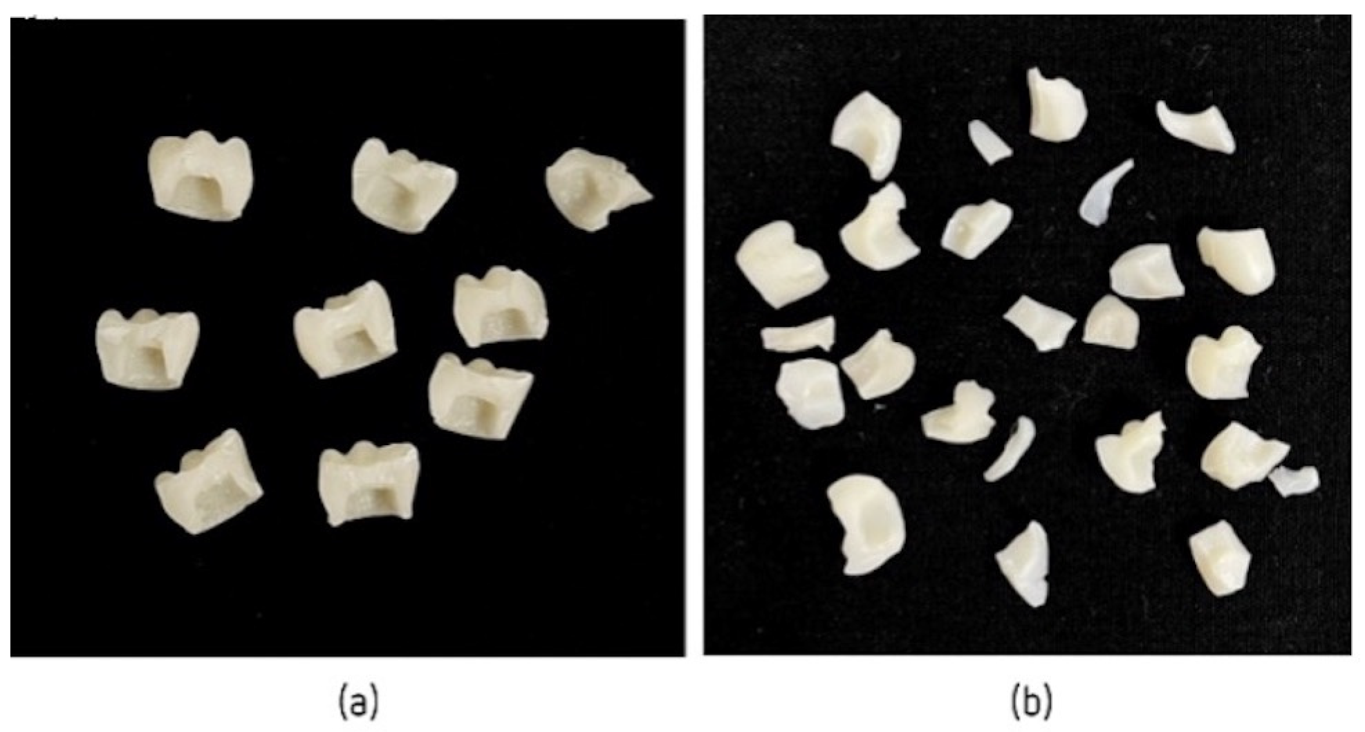 Jfb 14 00062 g005 Jfb 14 00062 g005