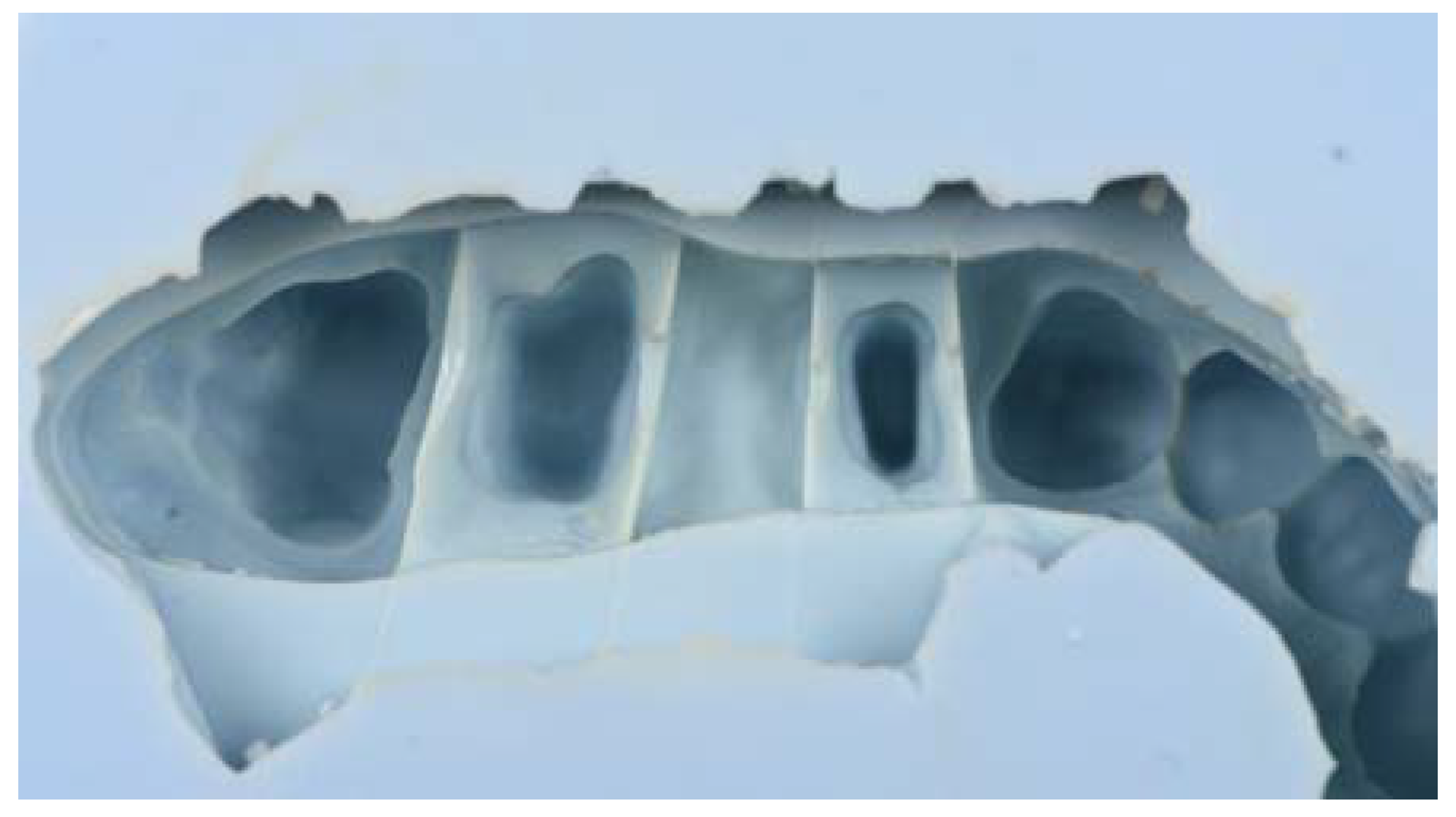 Jfb 14 00067 g003 Jfb 14 00067 g003