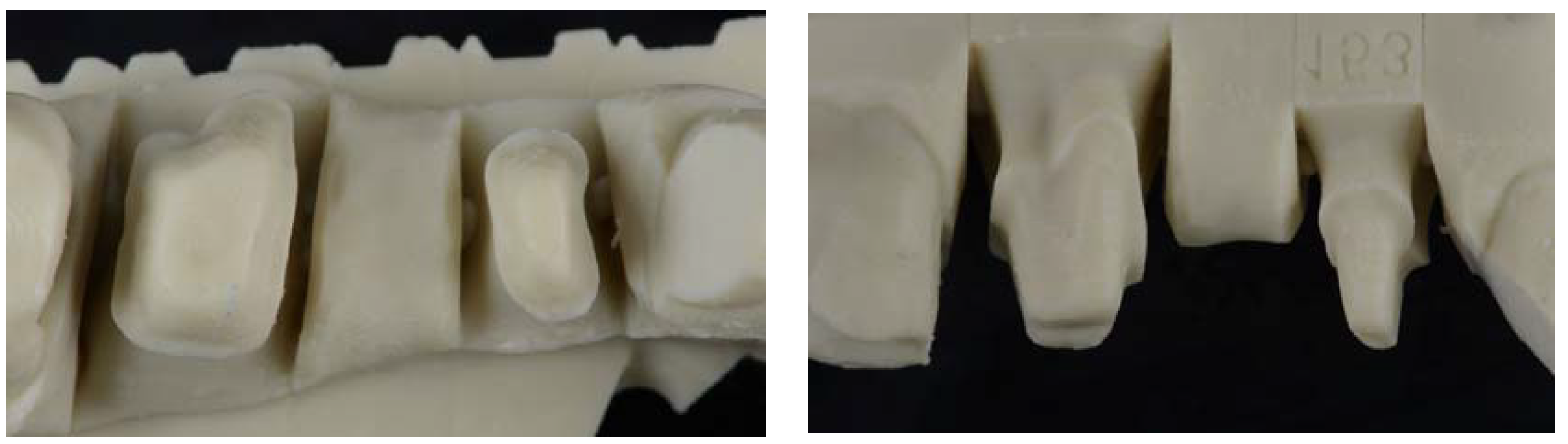 Jfb 14 00067 g004 Jfb 14 00067 g004