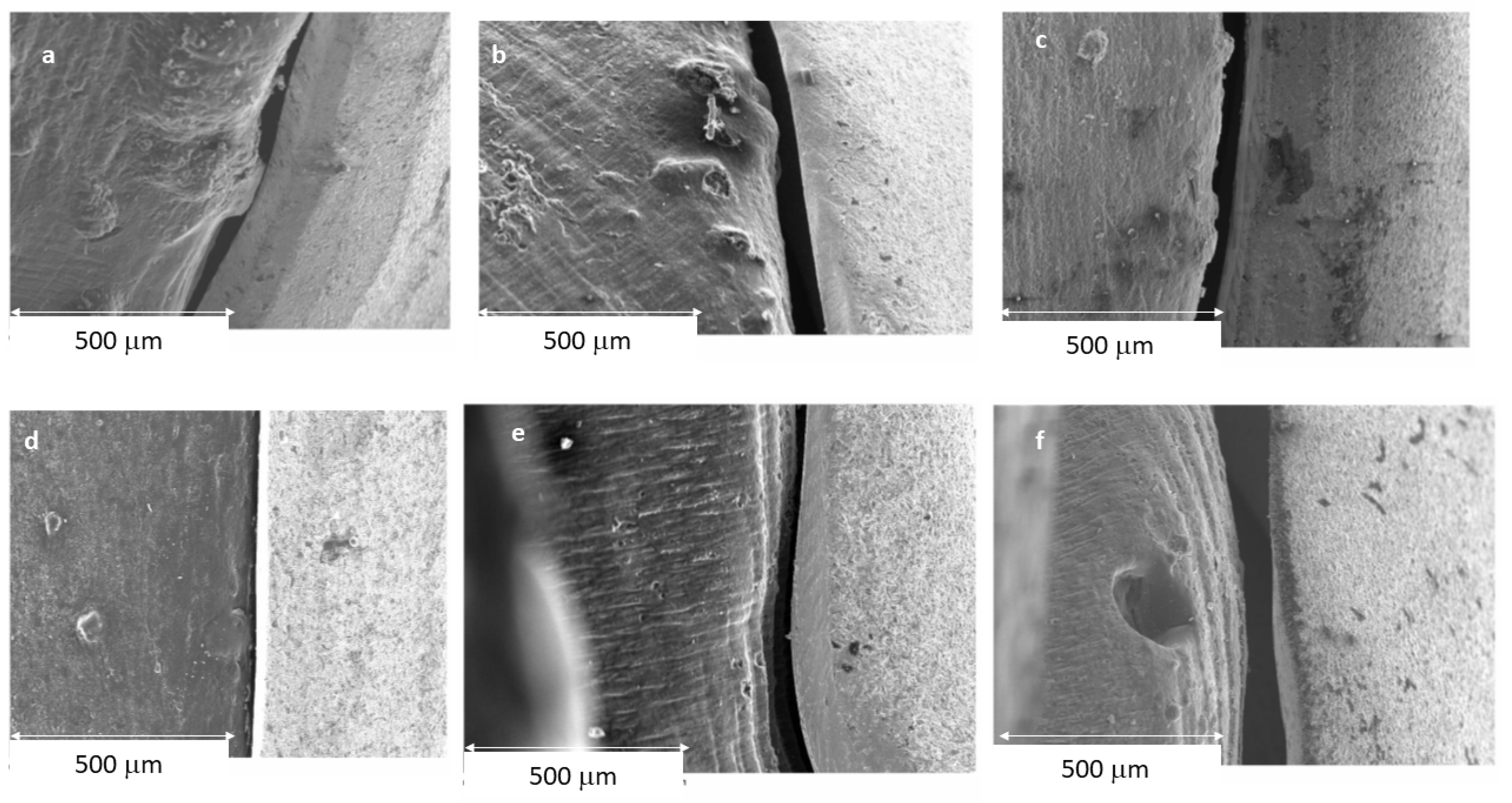 Jfb 14 00067 g009 Jfb 14 00067 g009