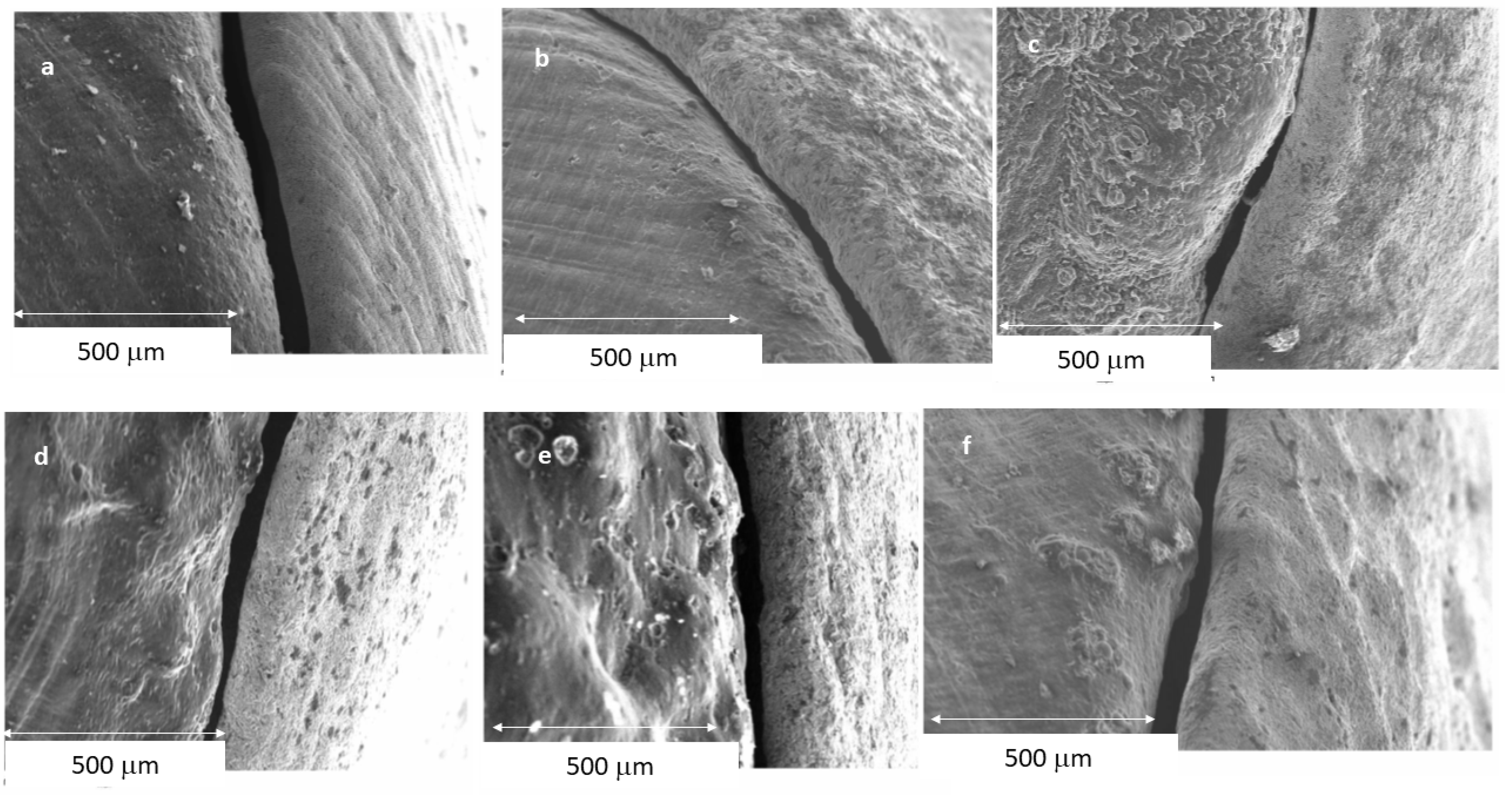 Jfb 14 00067 g010 Jfb 14 00067 g010