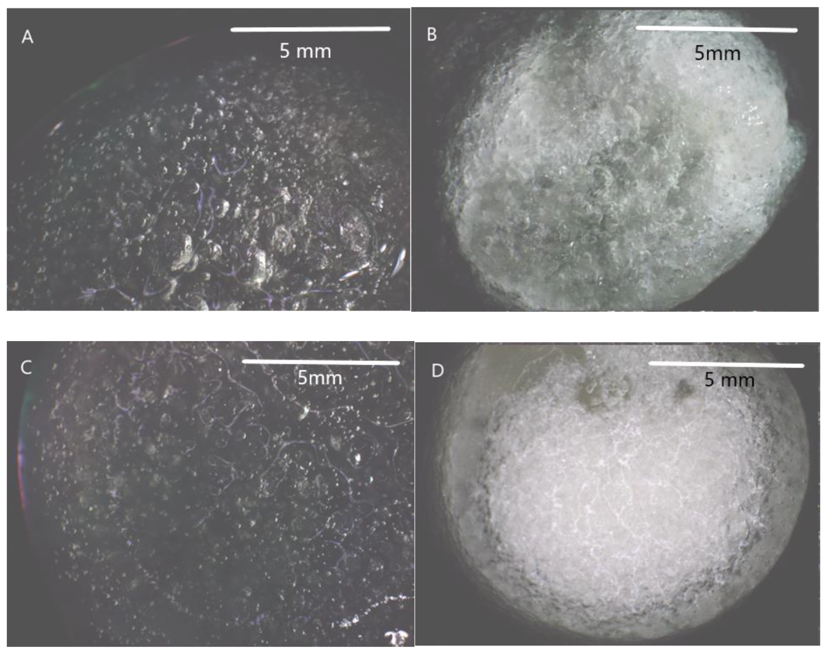 Jfb 14 00069 g002 Jfb 14 00069 g002