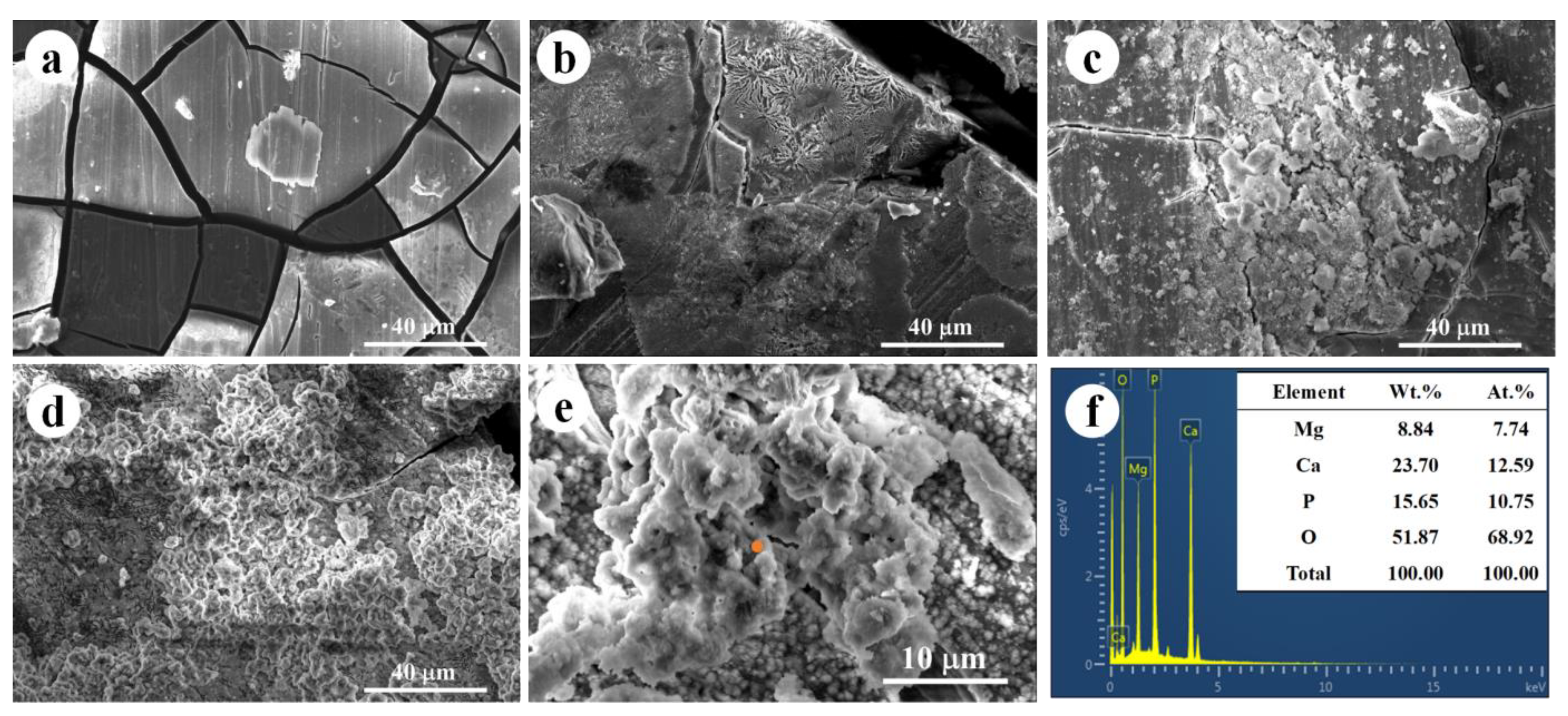 Jfb 14 00071 g003 Jfb 14 00071 g003