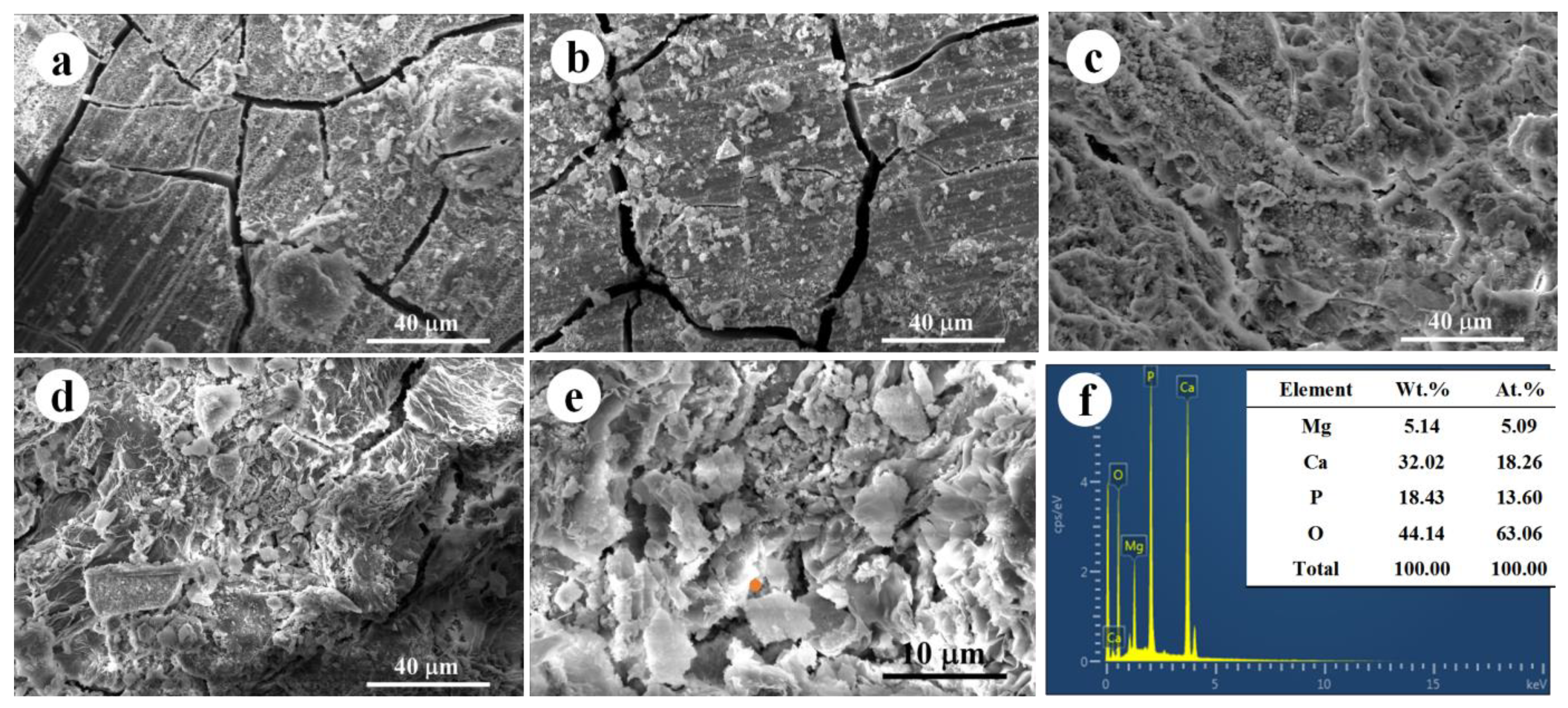 Jfb 14 00071 g004 Jfb 14 00071 g004