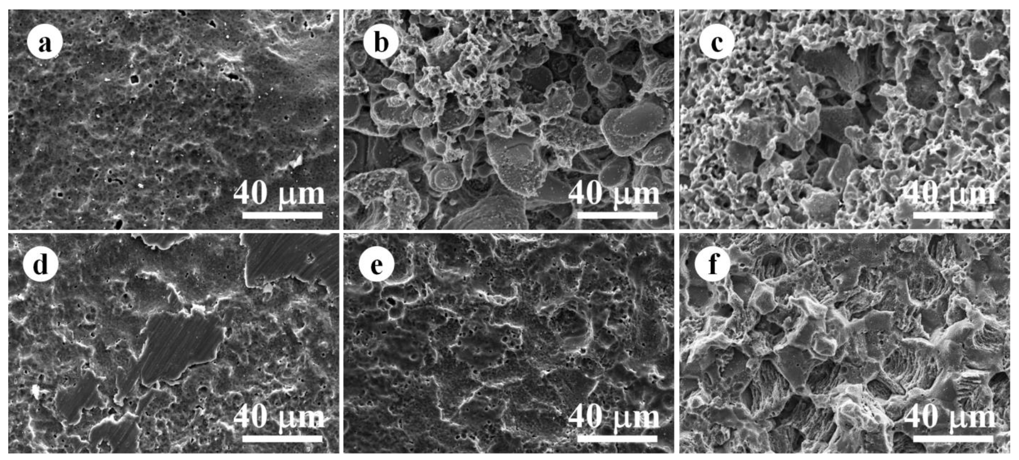 Jfb 14 00071 g005 Jfb 14 00071 g005