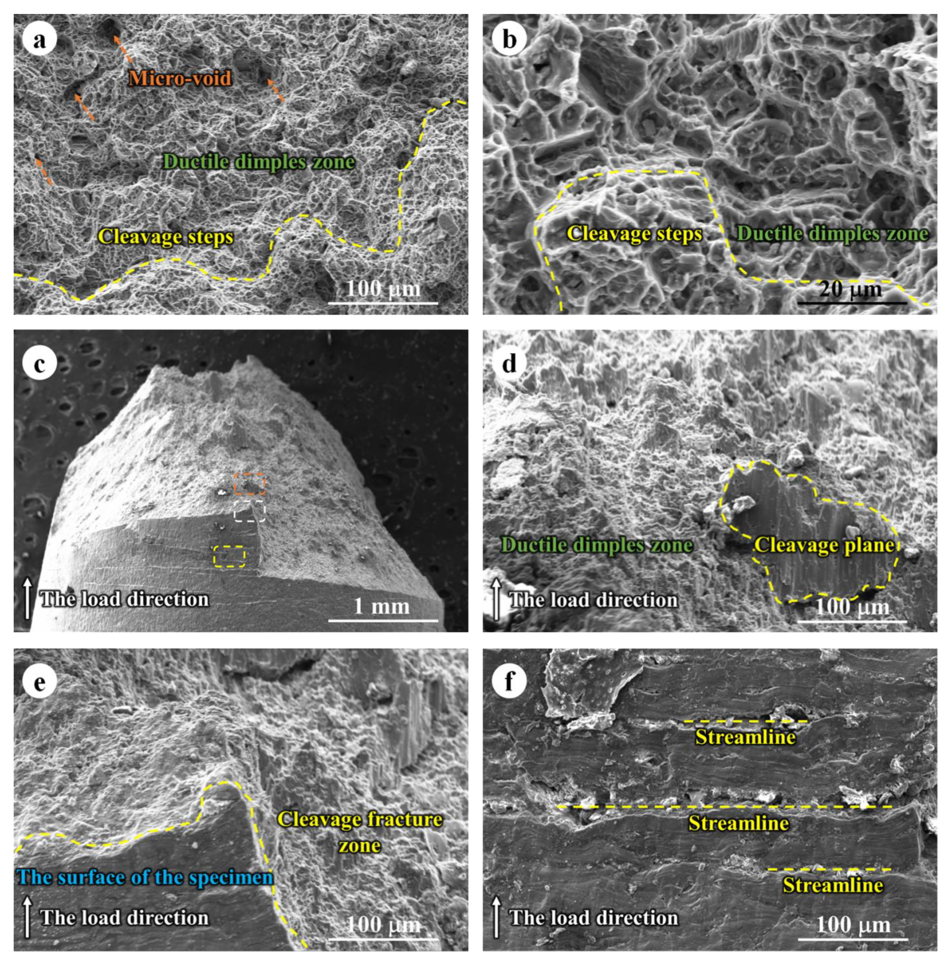 Jfb 14 00071 g008 Jfb 14 00071 g008