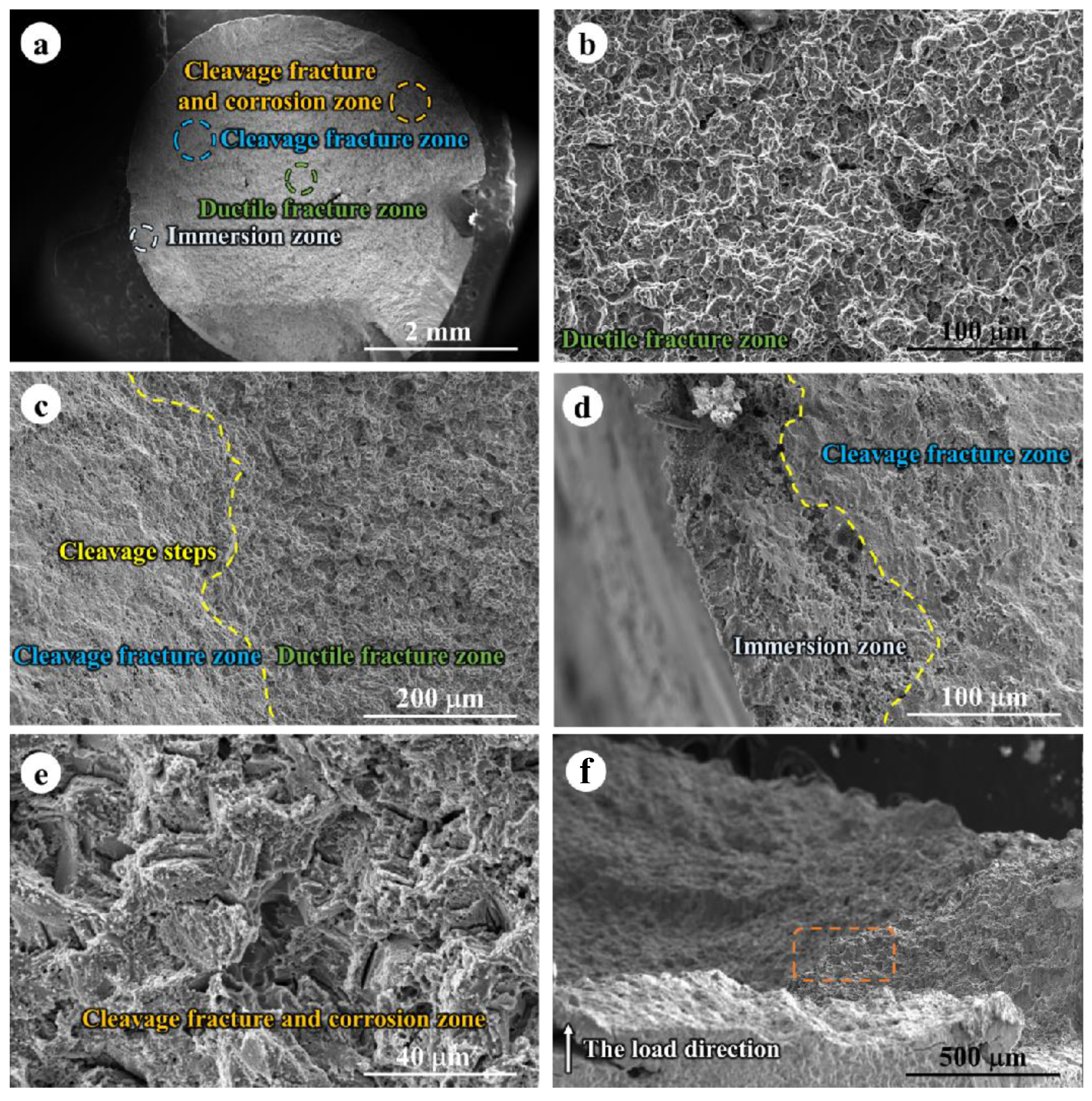 Jfb 14 00071 g009 Jfb 14 00071 g009