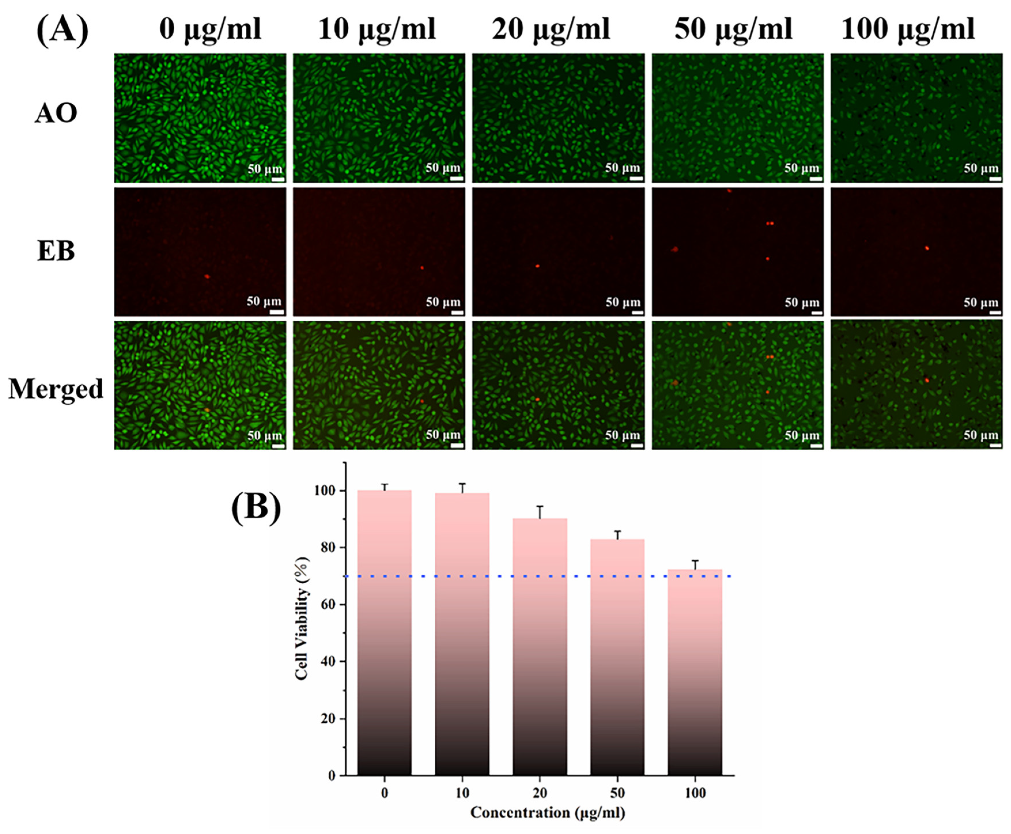 Jfb 14 00077 g005 Jfb 14 00077 g005