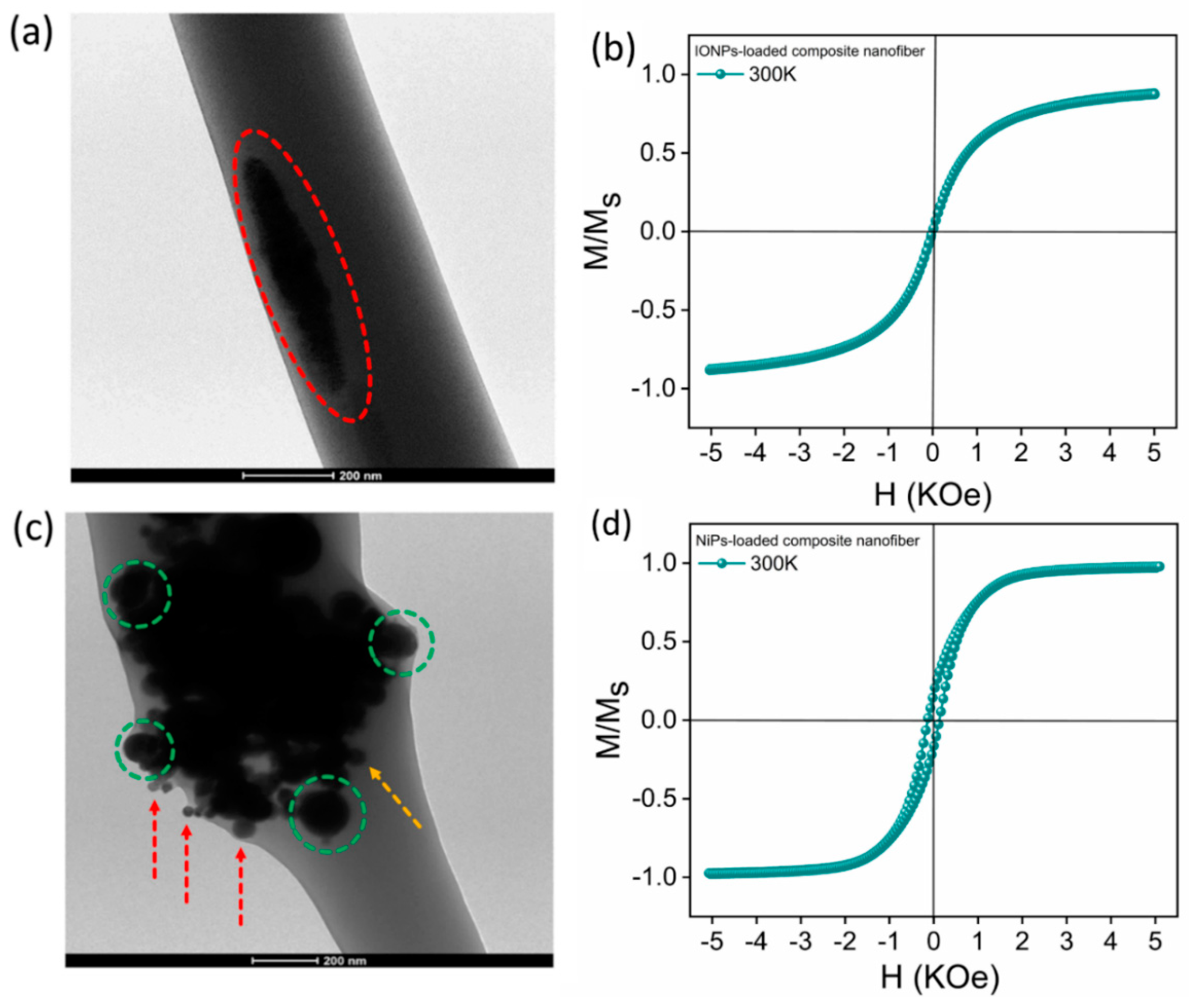 Jfb 14 00078 g003 Jfb 14 00078 g003