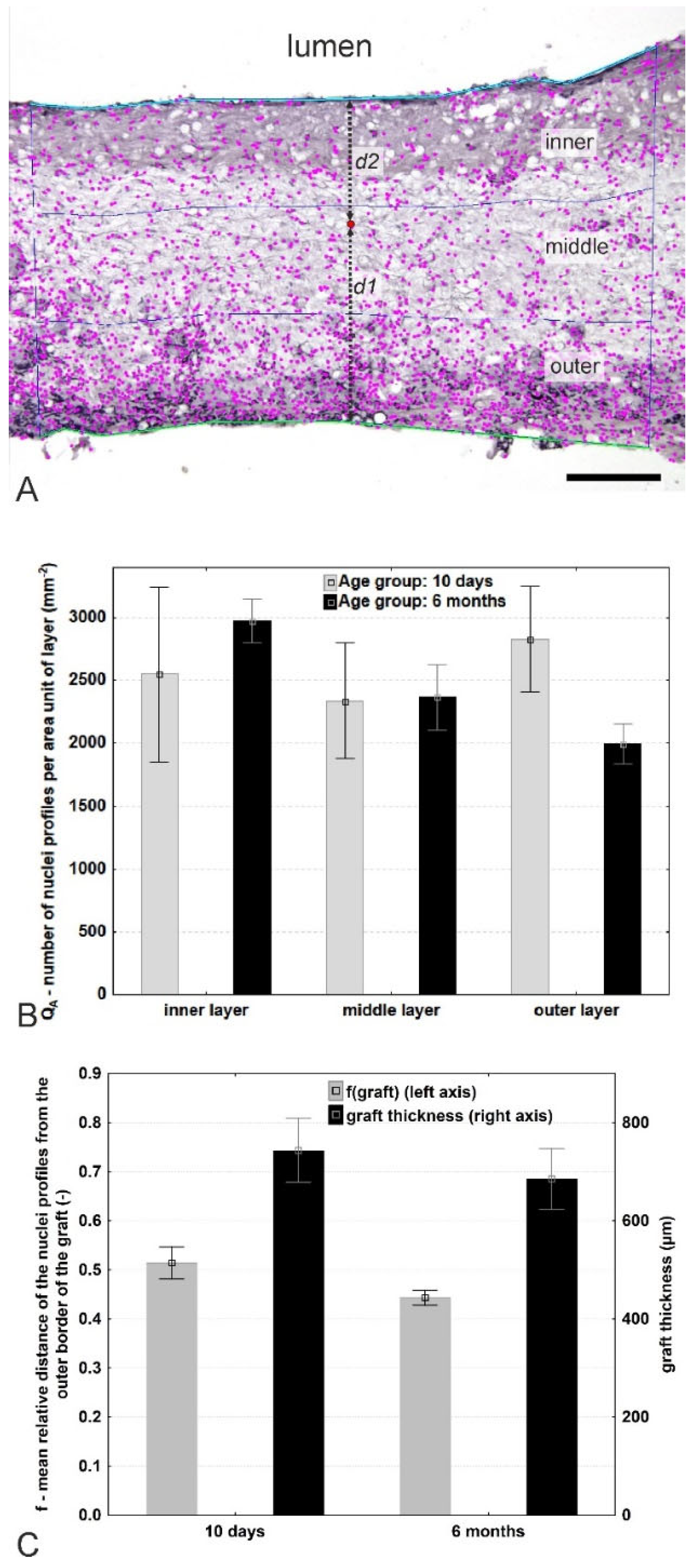 Jfb 14 00088 g003 Jfb 14 00088 g003