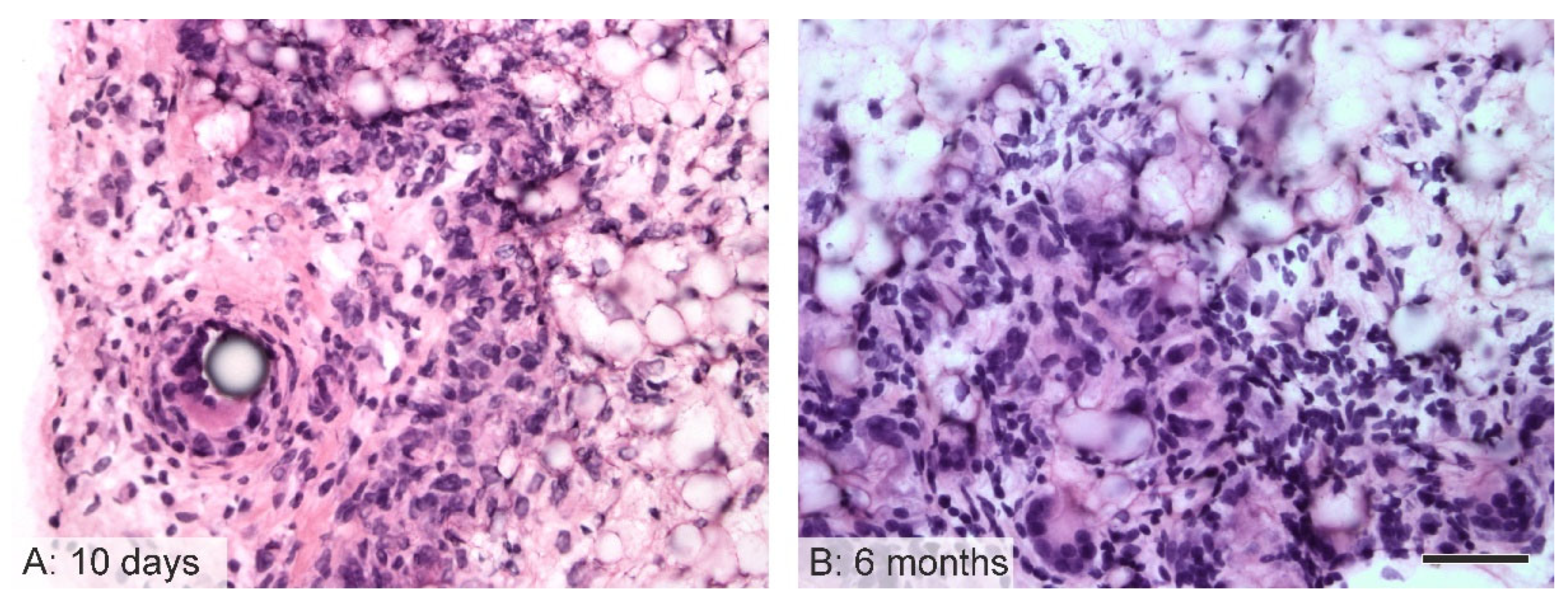 Jfb 14 00088 g007 Jfb 14 00088 g007