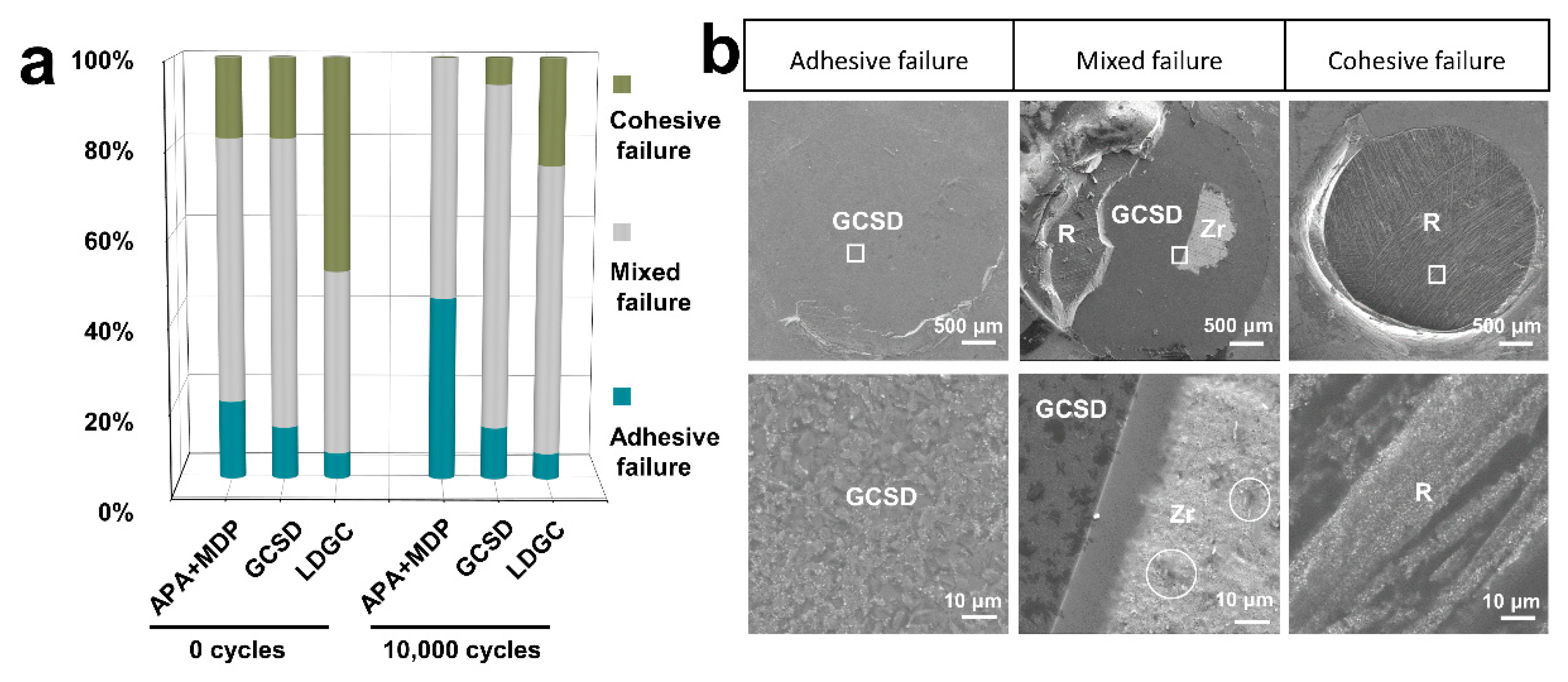 Jfb 14 00089 g005 Jfb 14 00089 g005