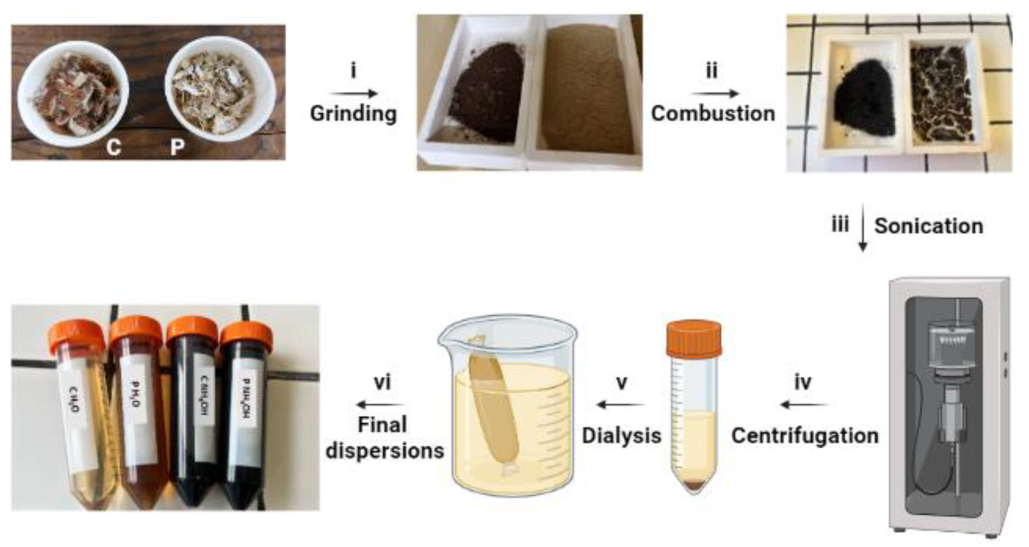 Jfb 14 00090 g001 Jfb 14 00090 g001