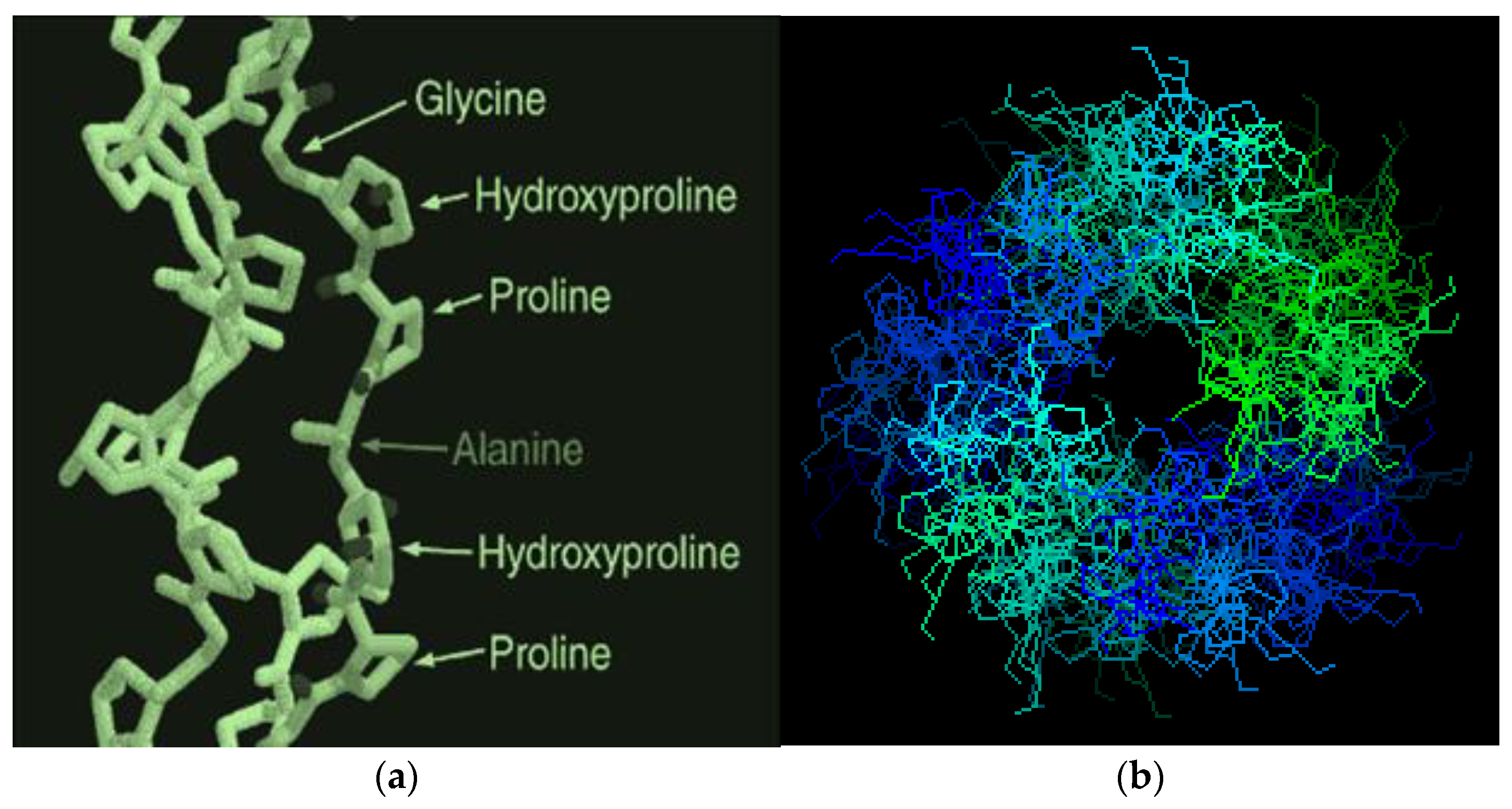 JFB Free FullText Gelatin Matrix as Functional Biomaterial for