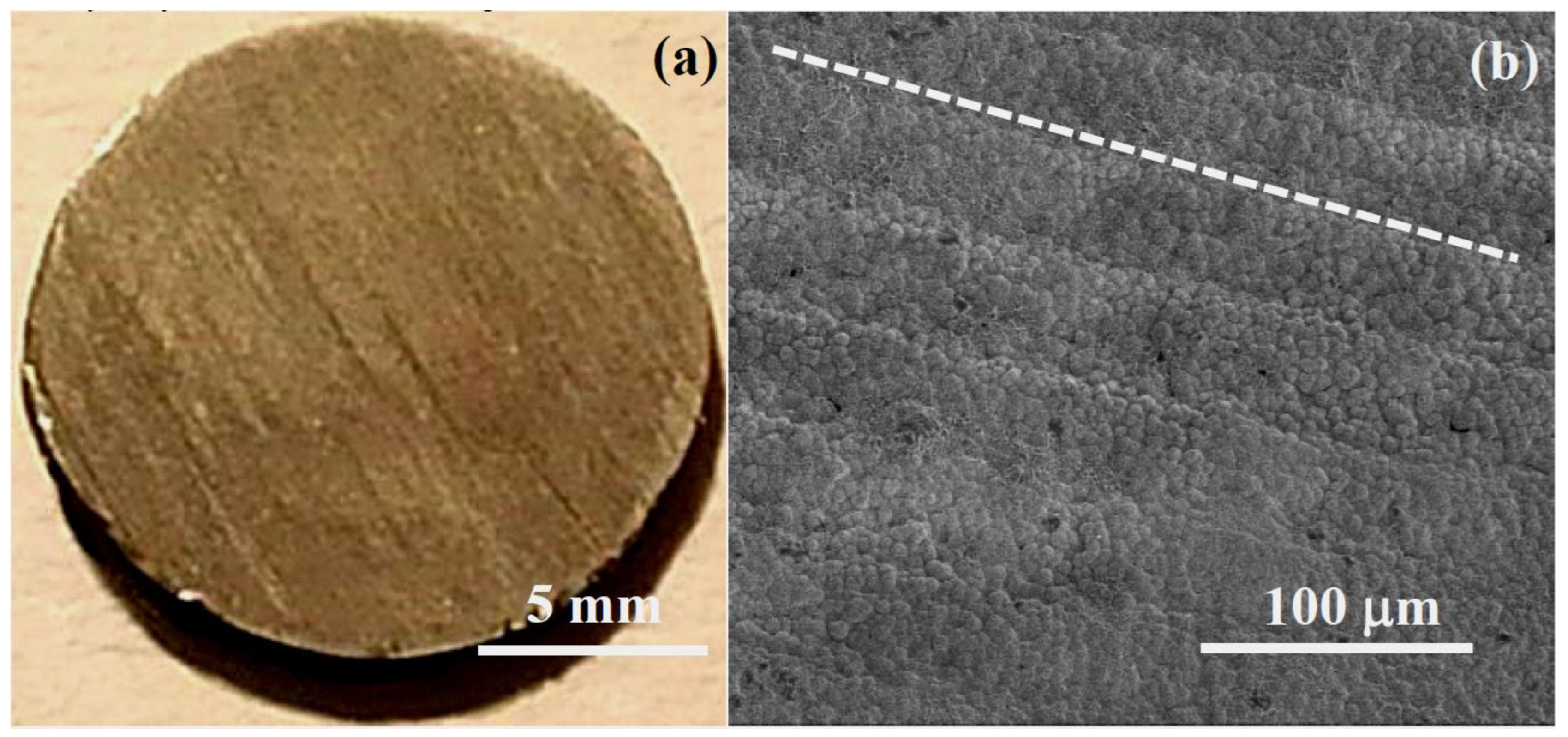 Jfb 14 00098 g001 Jfb 14 00098 g001