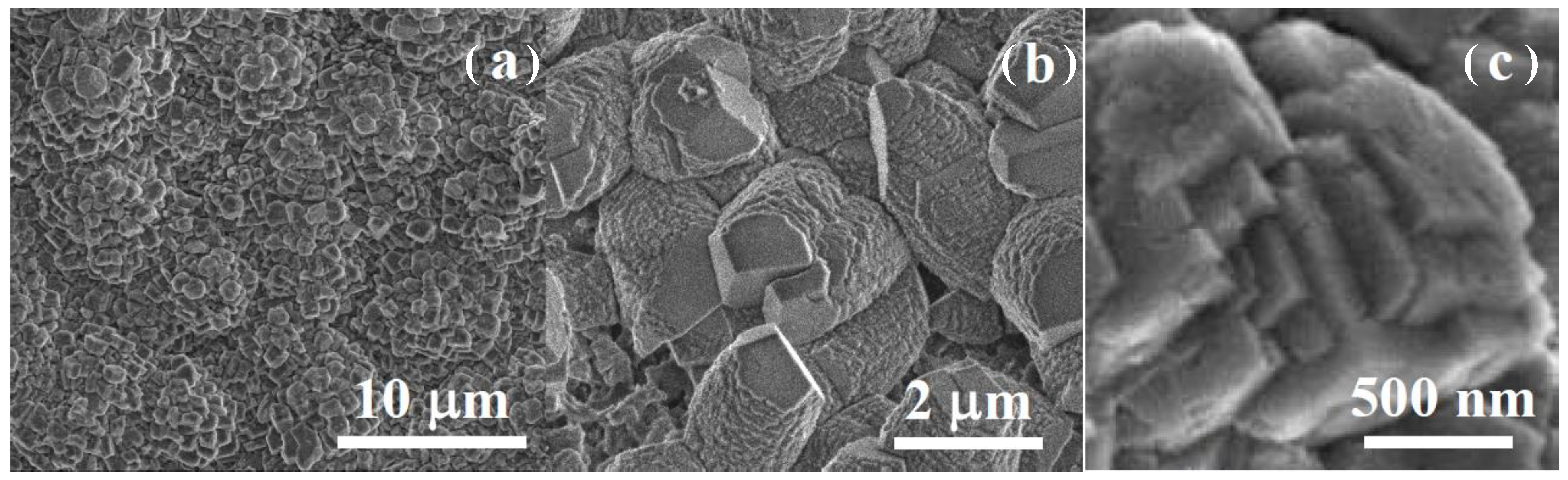 Jfb 14 00098 g007 Jfb 14 00098 g007