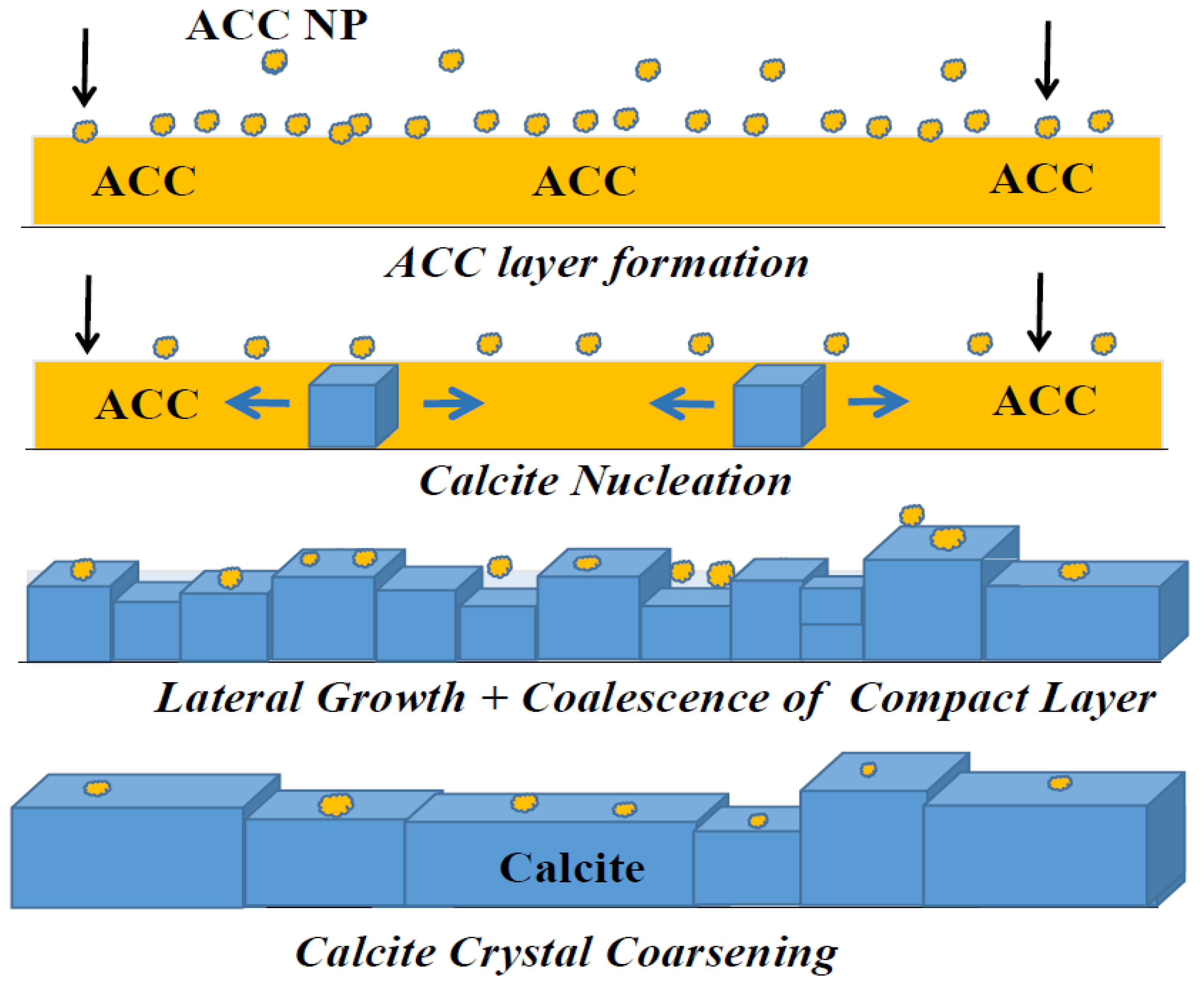 Jfb 14 00098 g008 Jfb 14 00098 g008