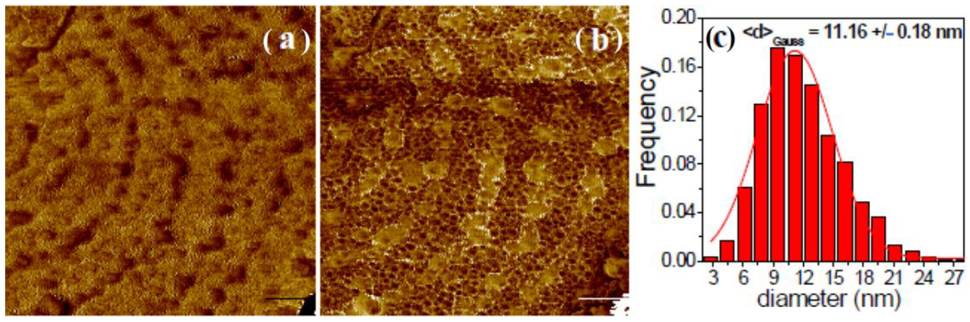 Jfb 14 00098 g010 Jfb 14 00098 g010