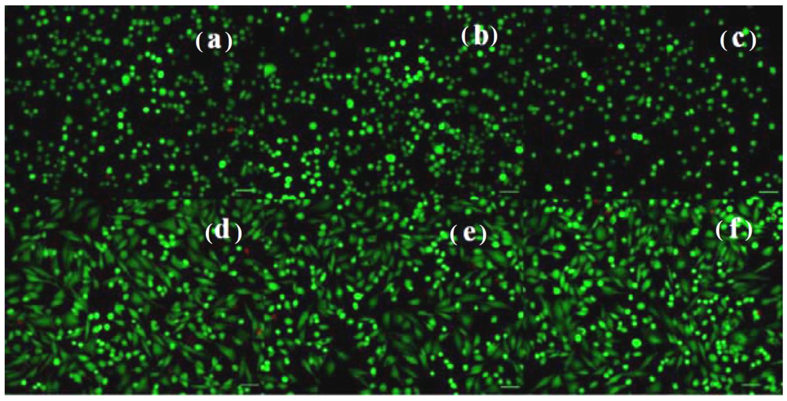 Jfb 14 00098 g014 Jfb 14 00098 g014