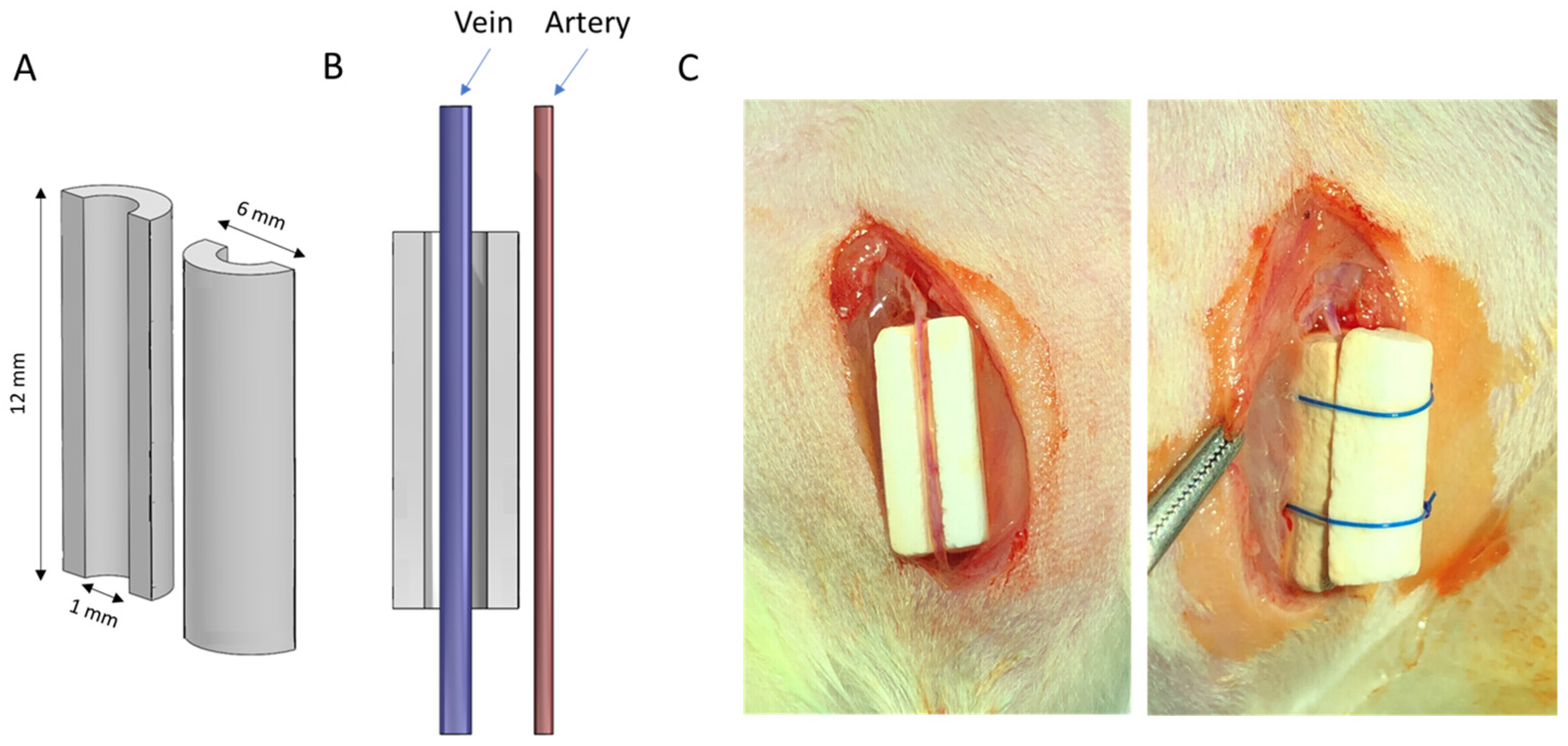 Jfb 14 00105 g001 Jfb 14 00105 g001
