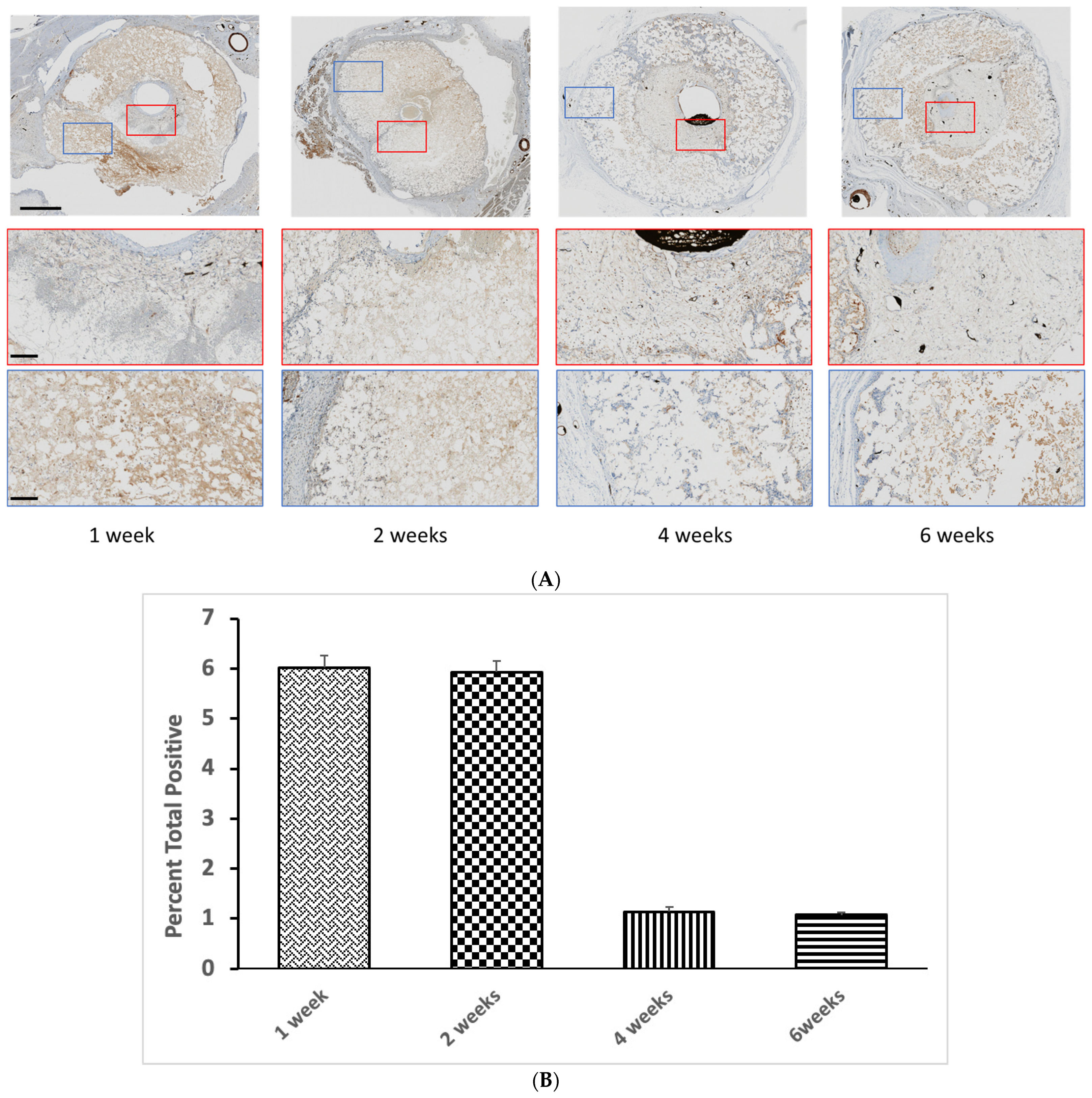 Jfb 14 00105 g004 Jfb 14 00105 g004