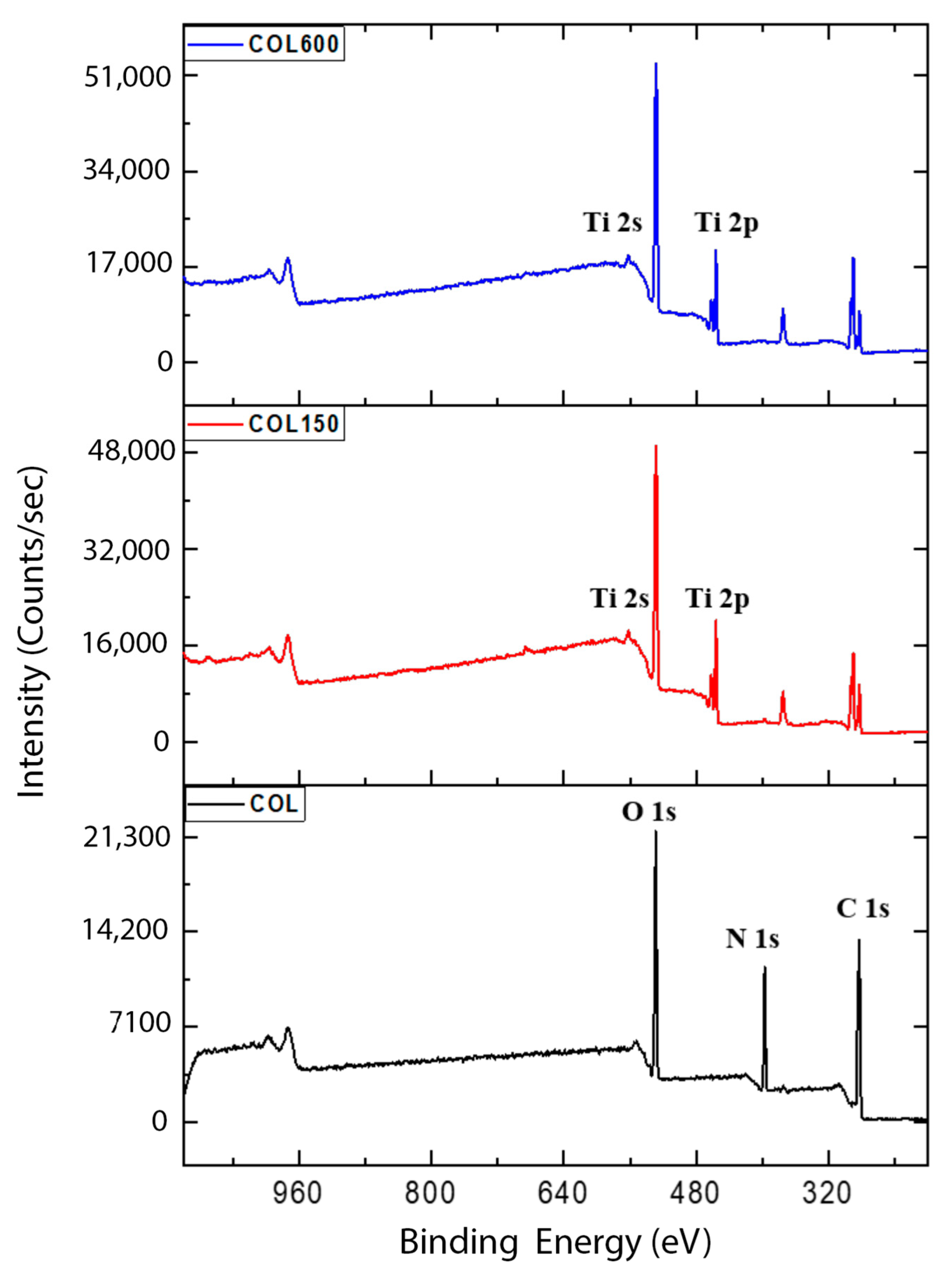 Jfb 14 00120 g001 Jfb 14 00120 g001
