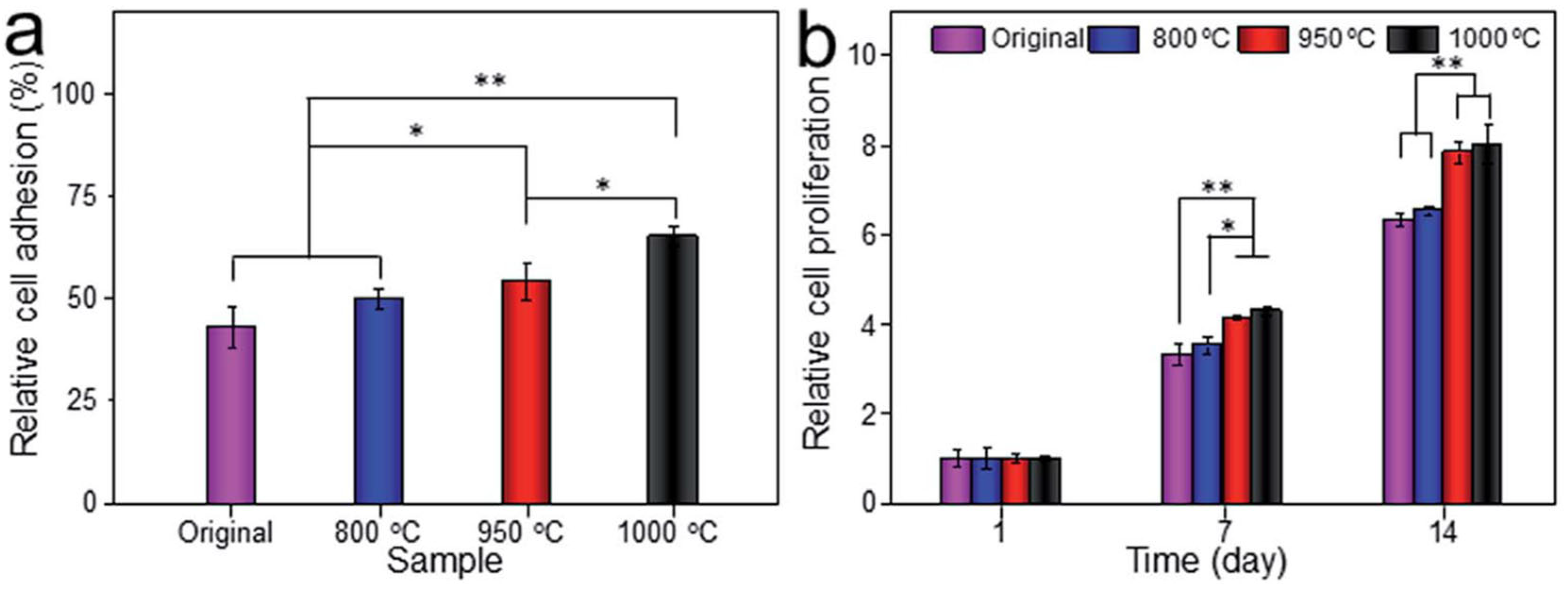 Jfb 14 00125 g013 Jfb 14 00125 g013