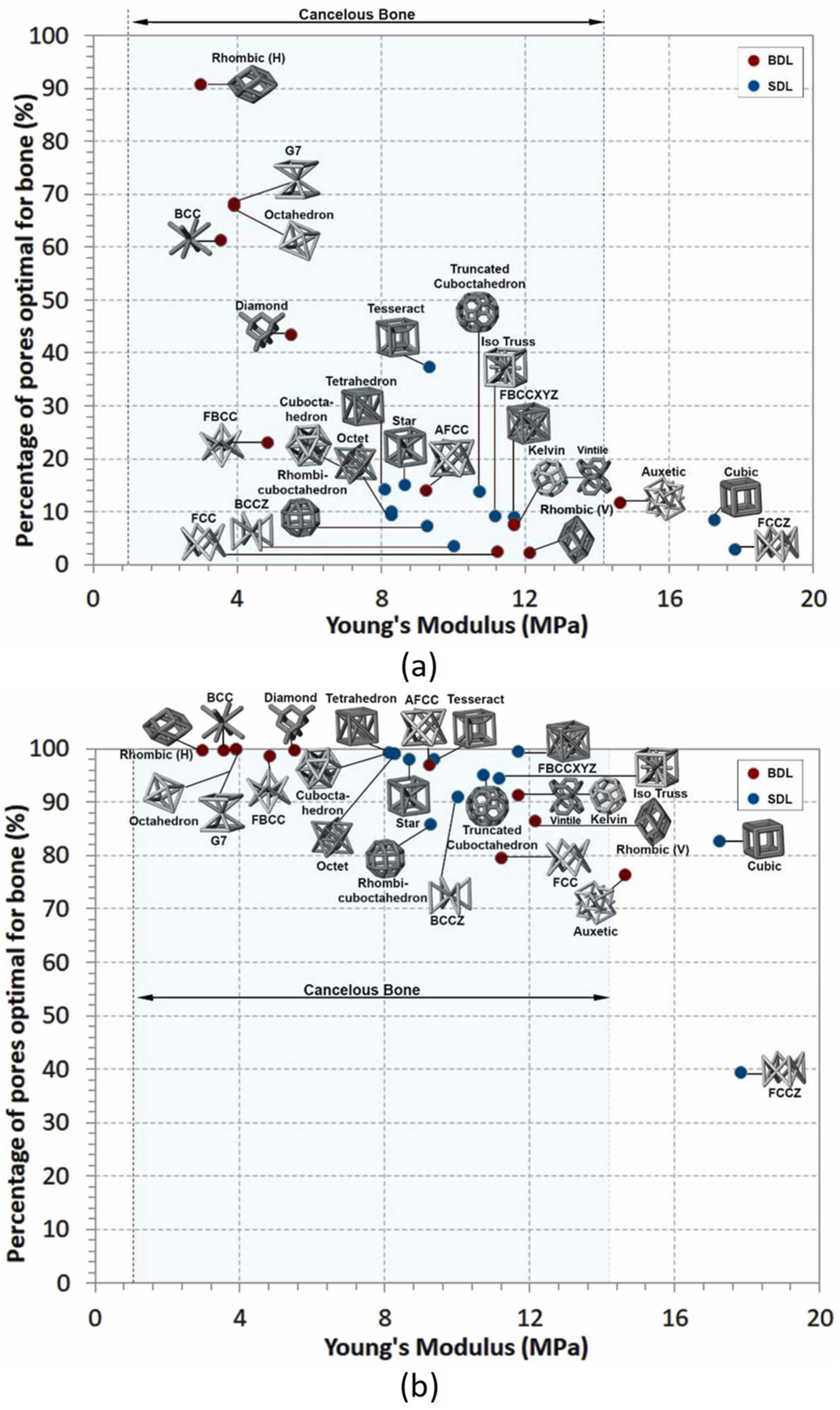 Jfb 14 00125 g014 Jfb 14 00125 g014