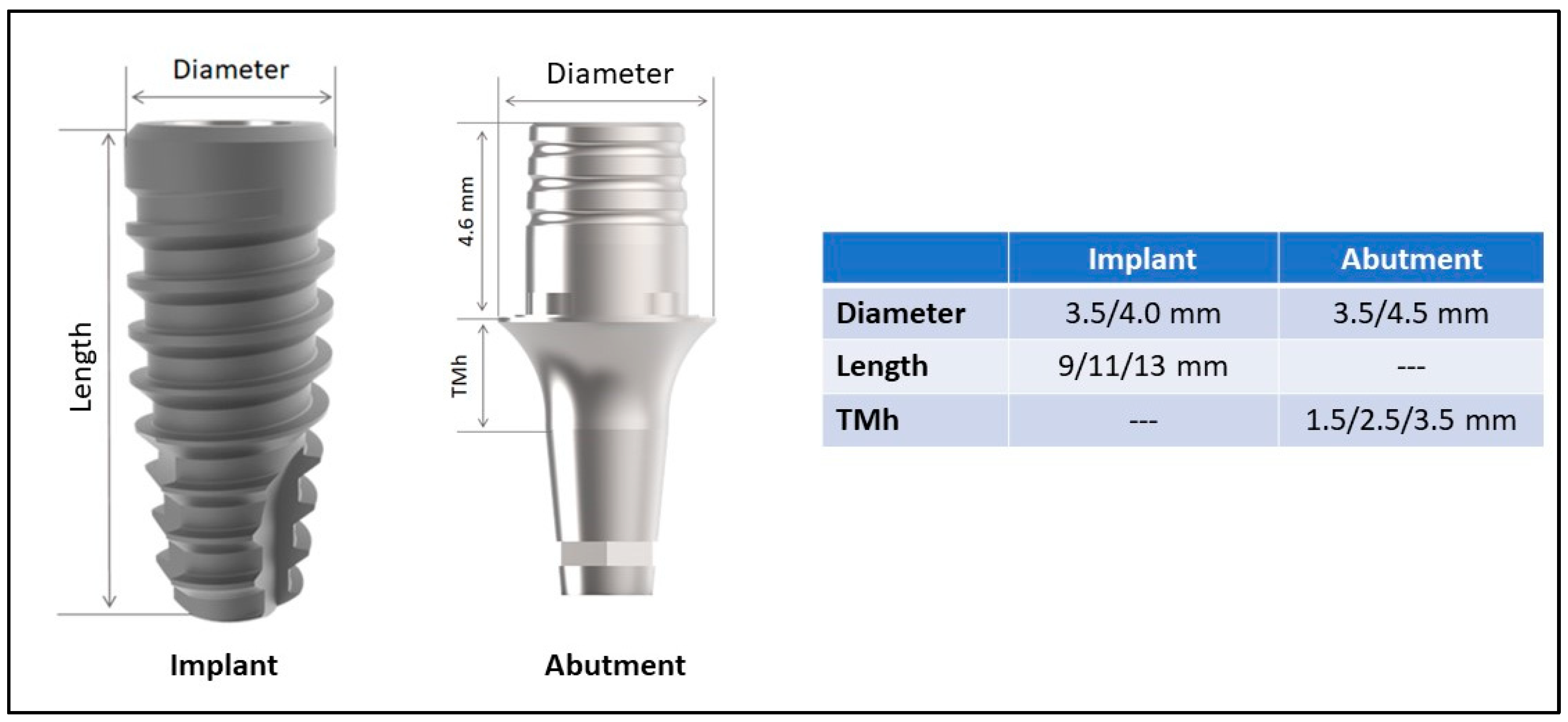 JFB Free FullText Marginal Bone Level and Biomechanical Behavior