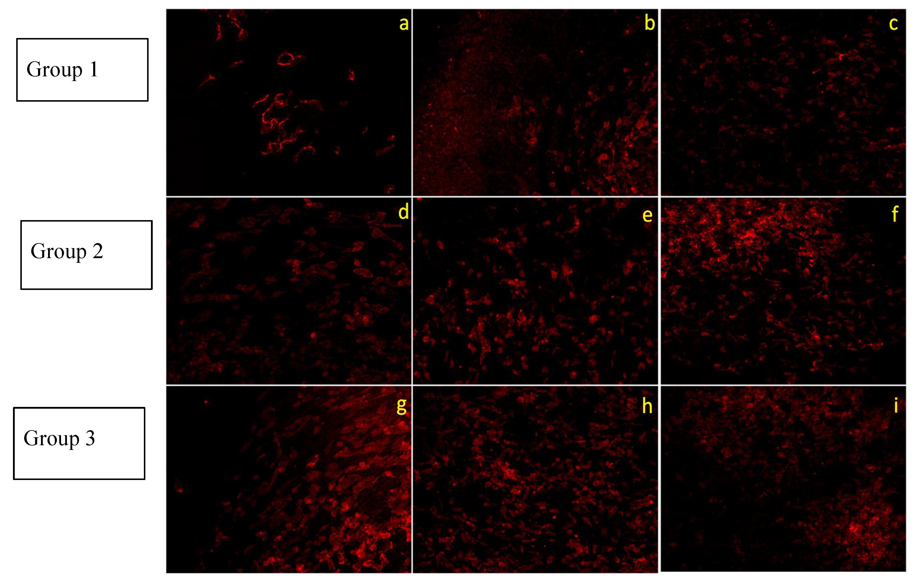 Jfb 14 00130 g003 Jfb 14 00130 g003